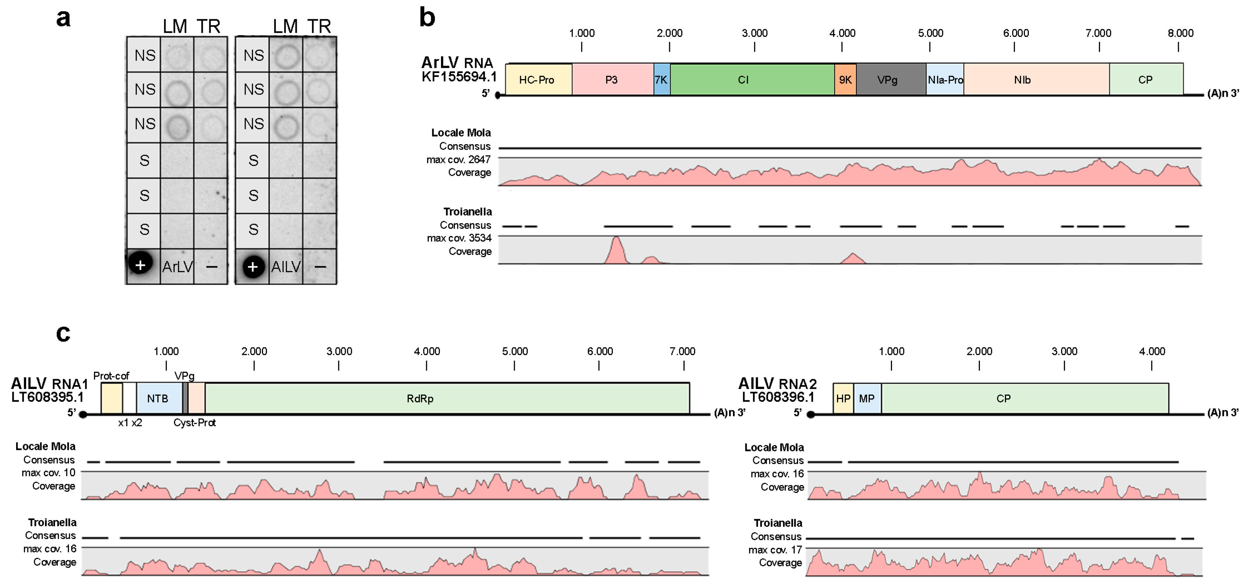Plants 12 01600 g002 Plants 12 01600 g002