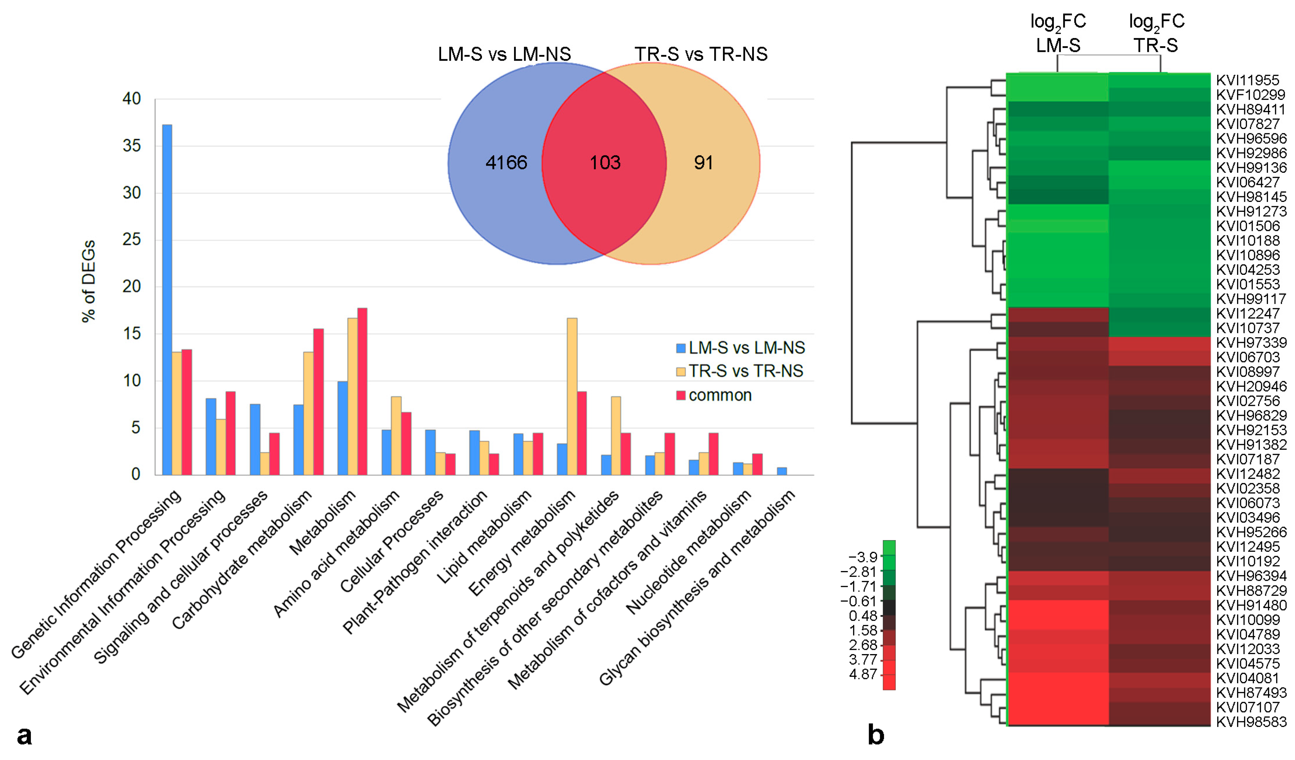 Plants 12 01600 g003 Plants 12 01600 g003