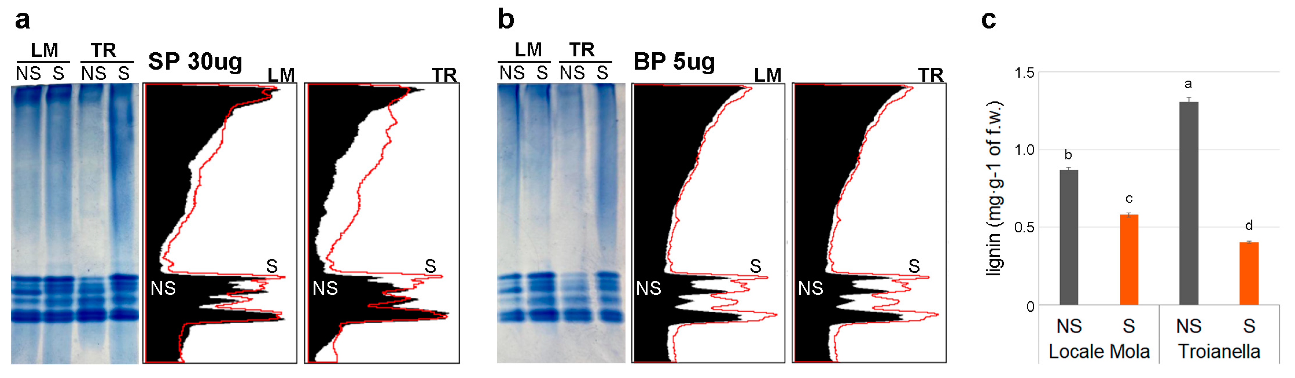 Plants 12 01600 g008 Plants 12 01600 g008