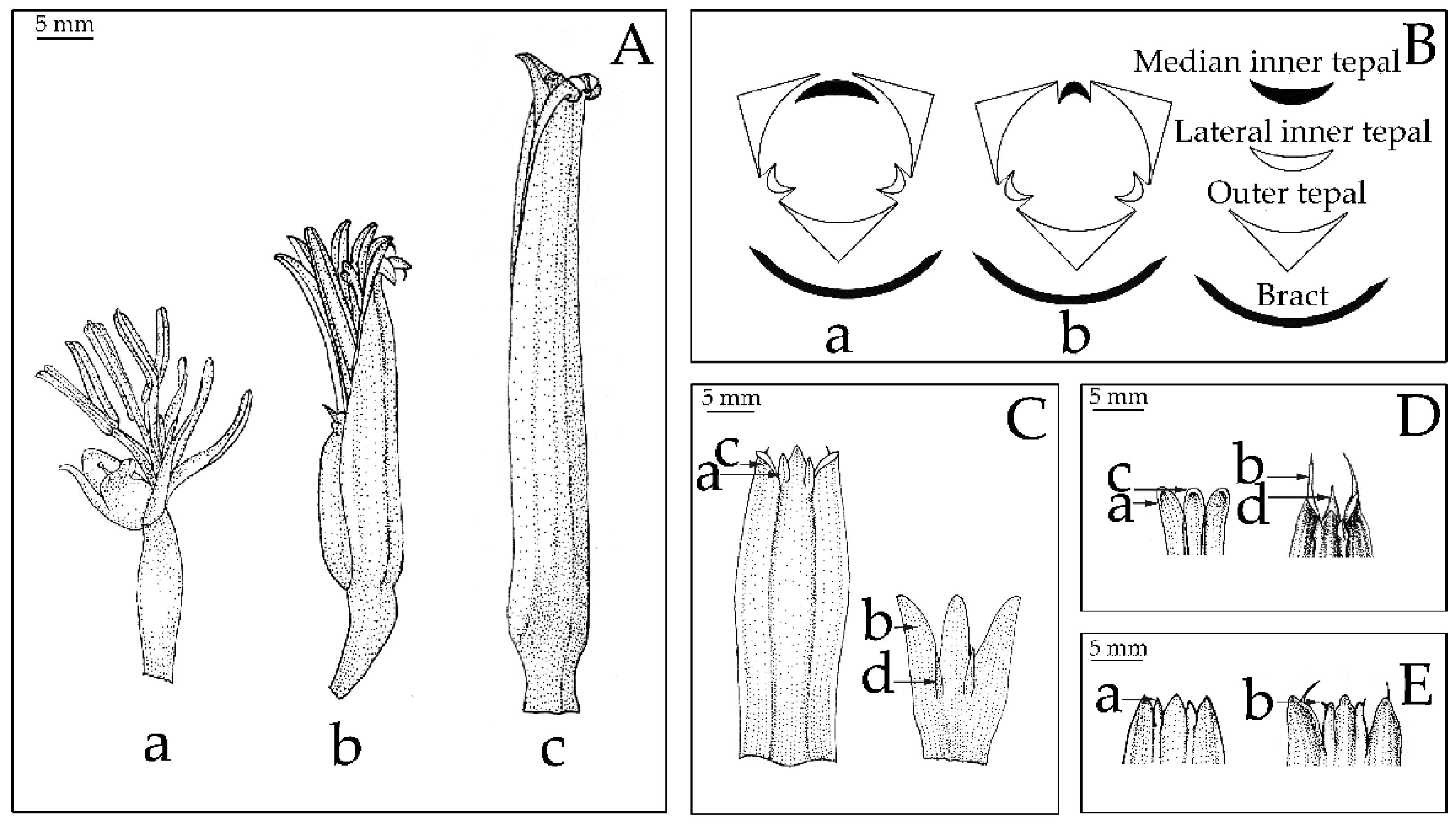 Plants 12 01602 g003
