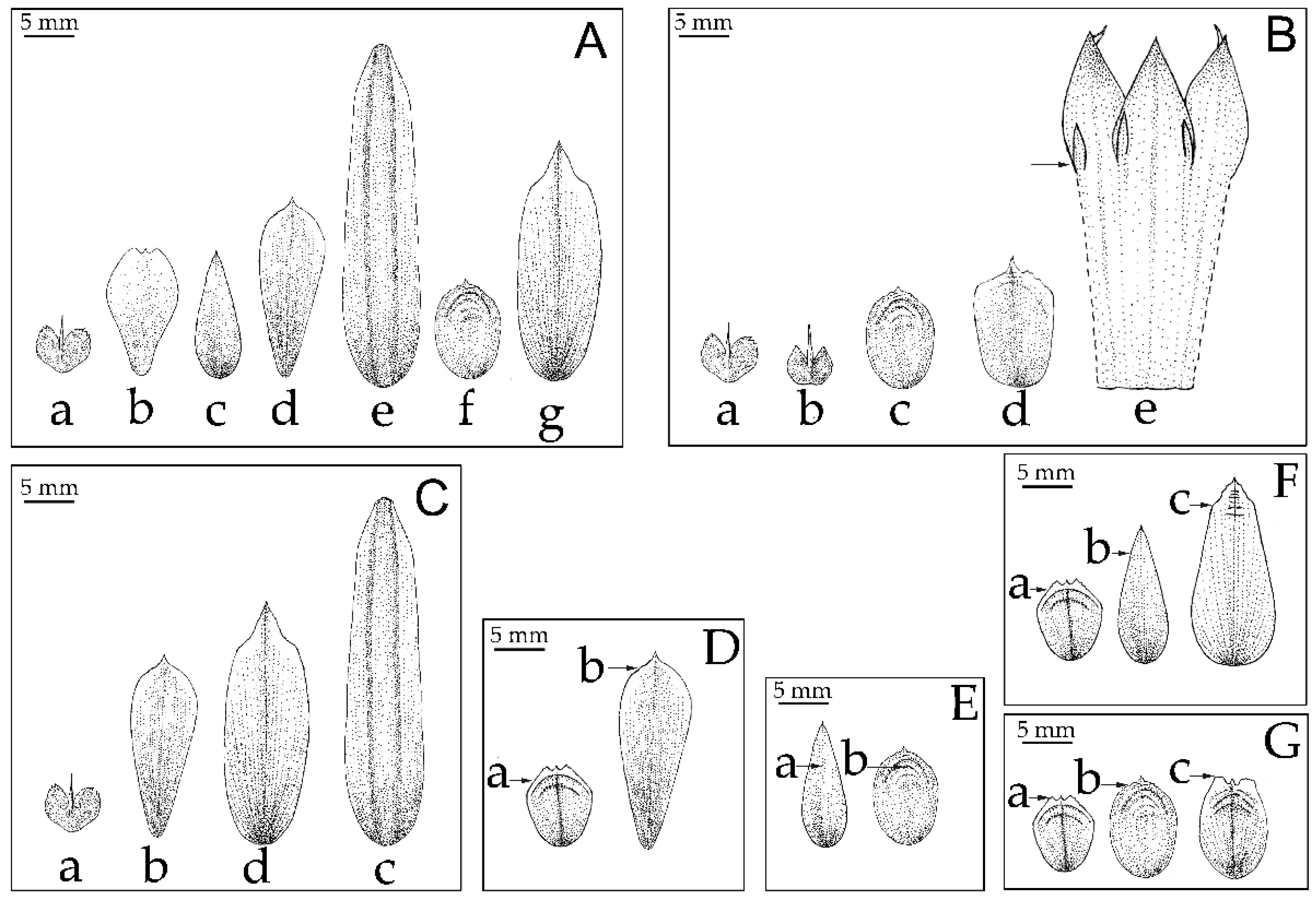 Plants 12 01602 g004