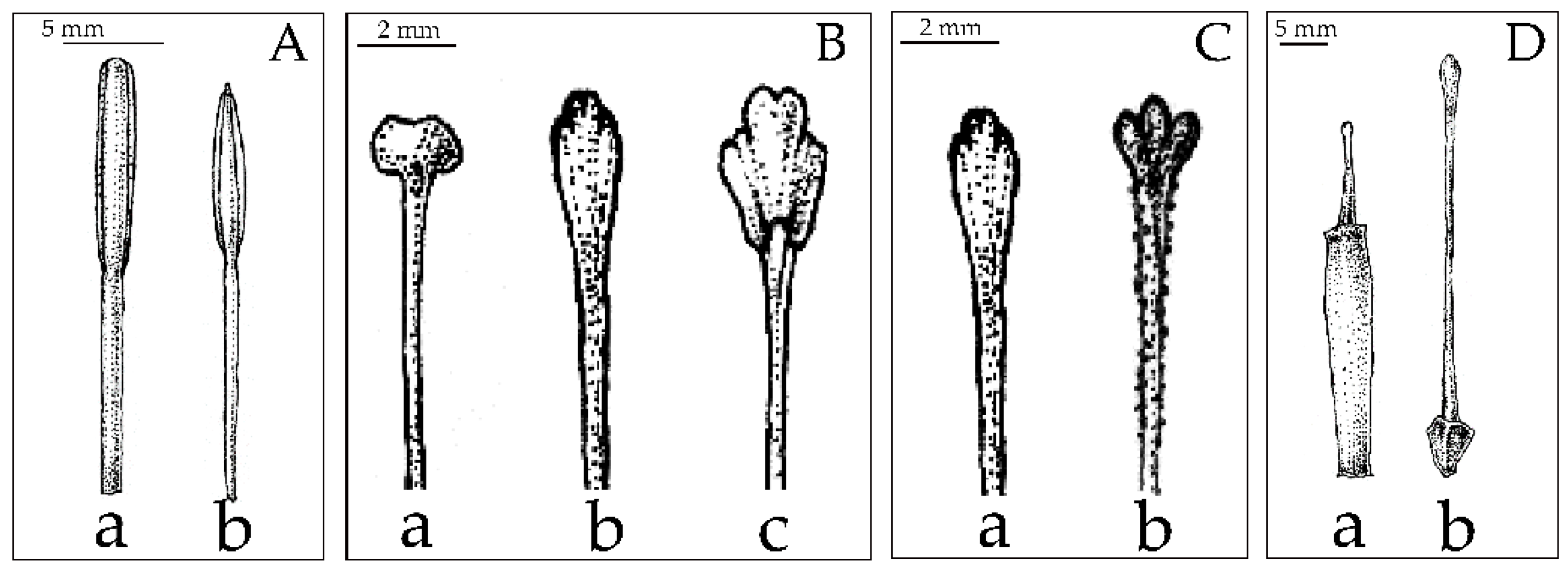 Plants 12 01602 g005
