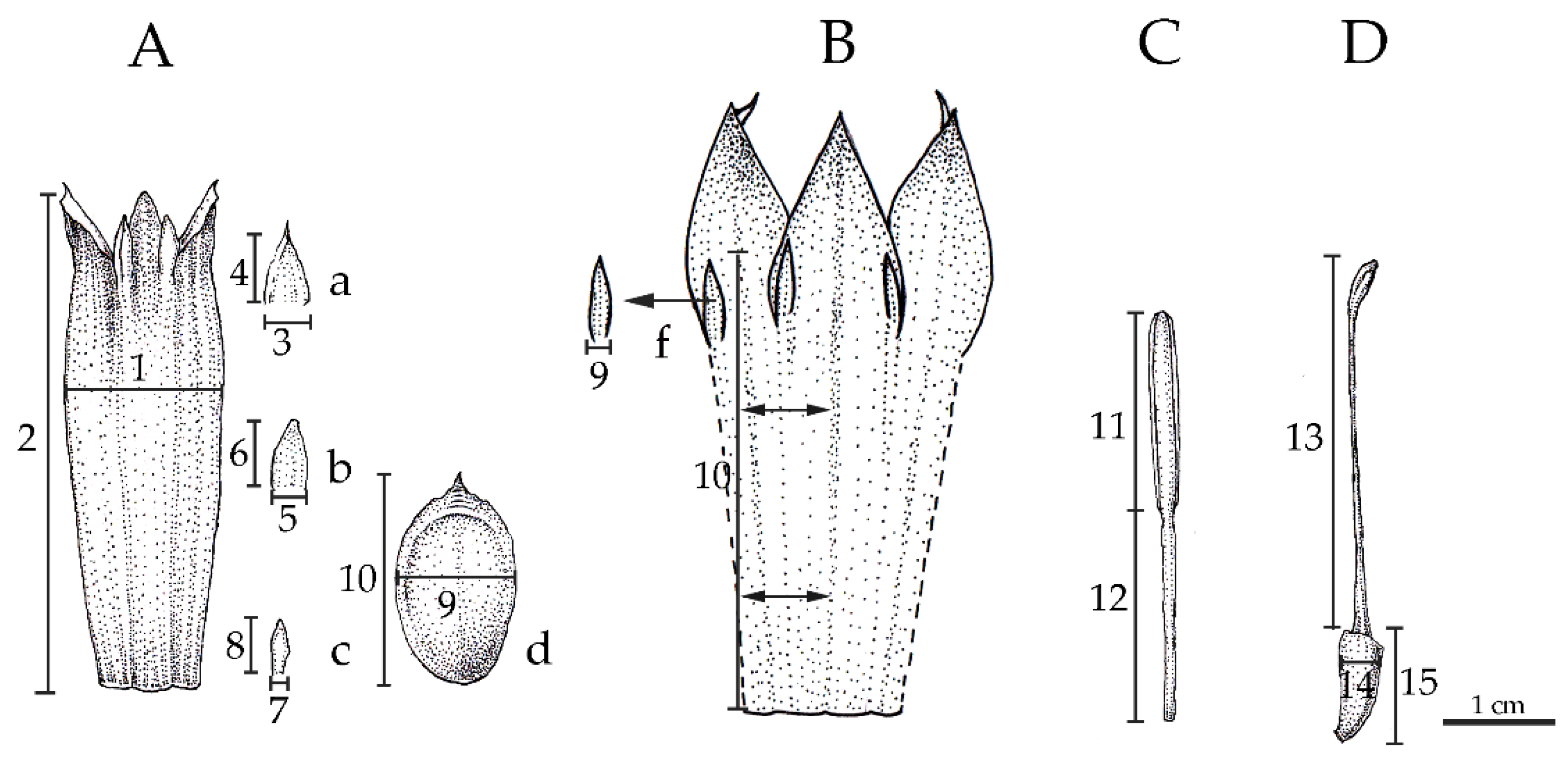 Plants 12 01602 g010