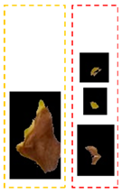 Plants 12 01603 i006