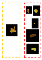 Plants 12 01603 i009