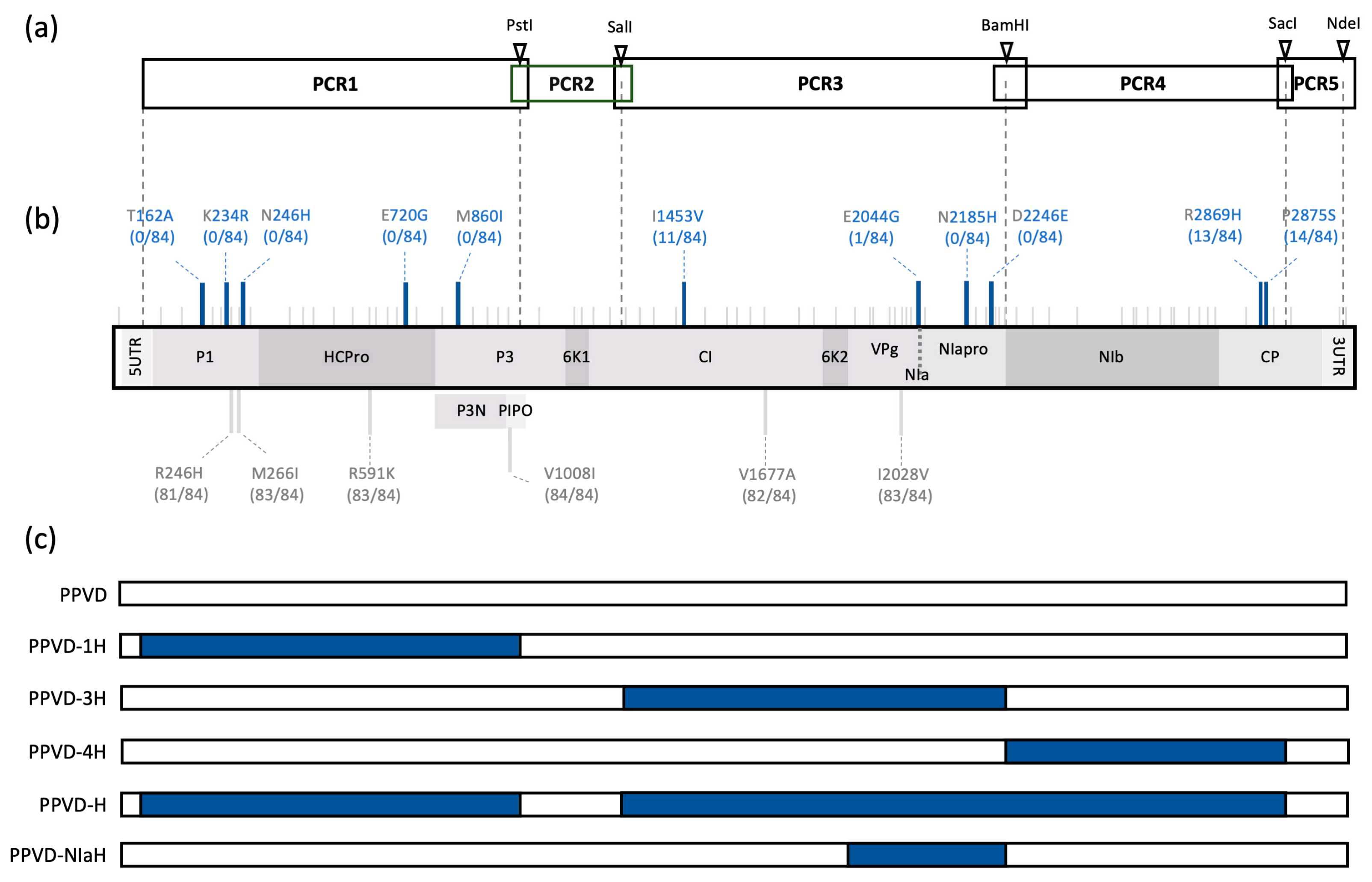 Plants 12 01609 g001