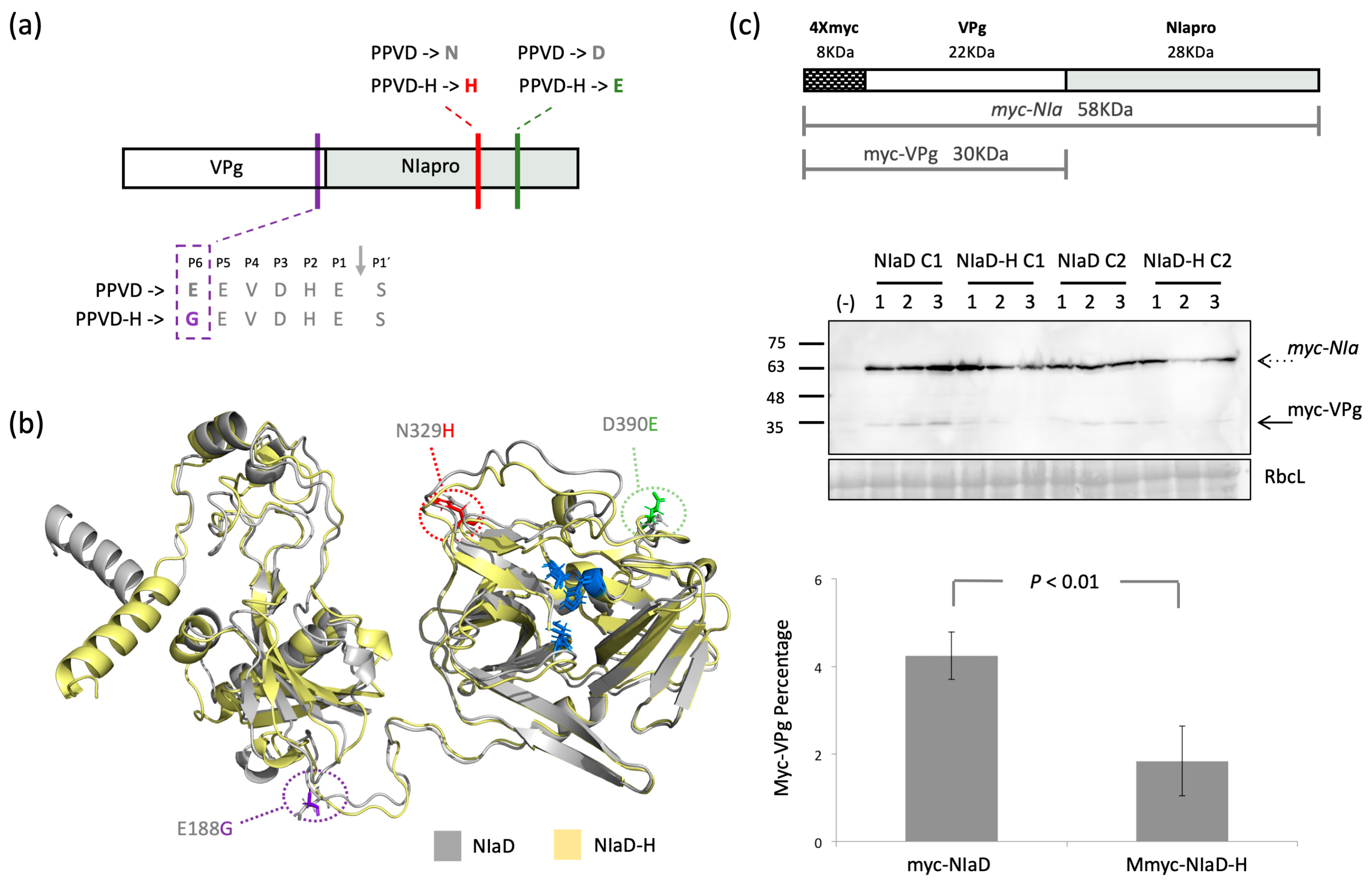 Plants 12 01609 g005