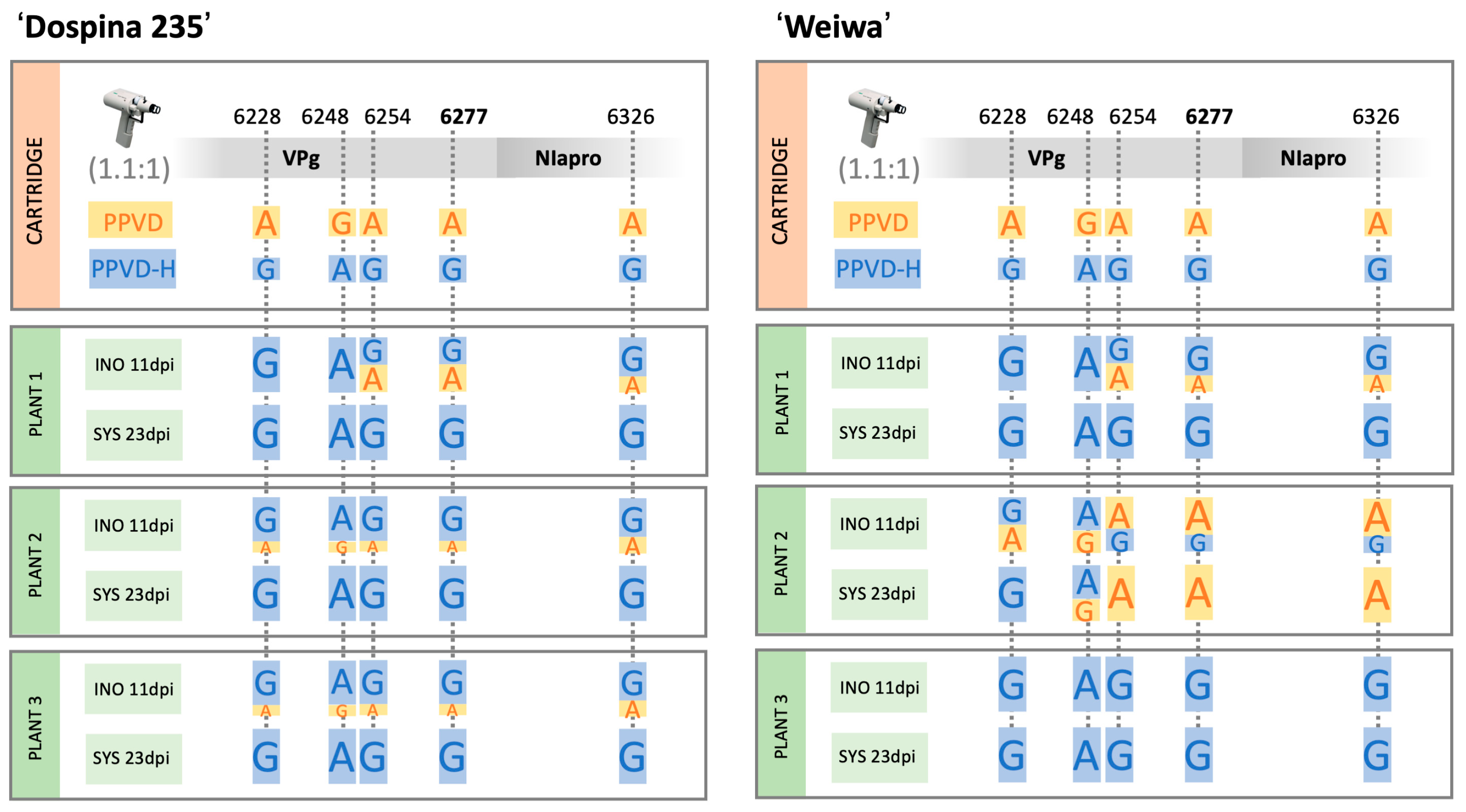 Plants 12 01609 g006