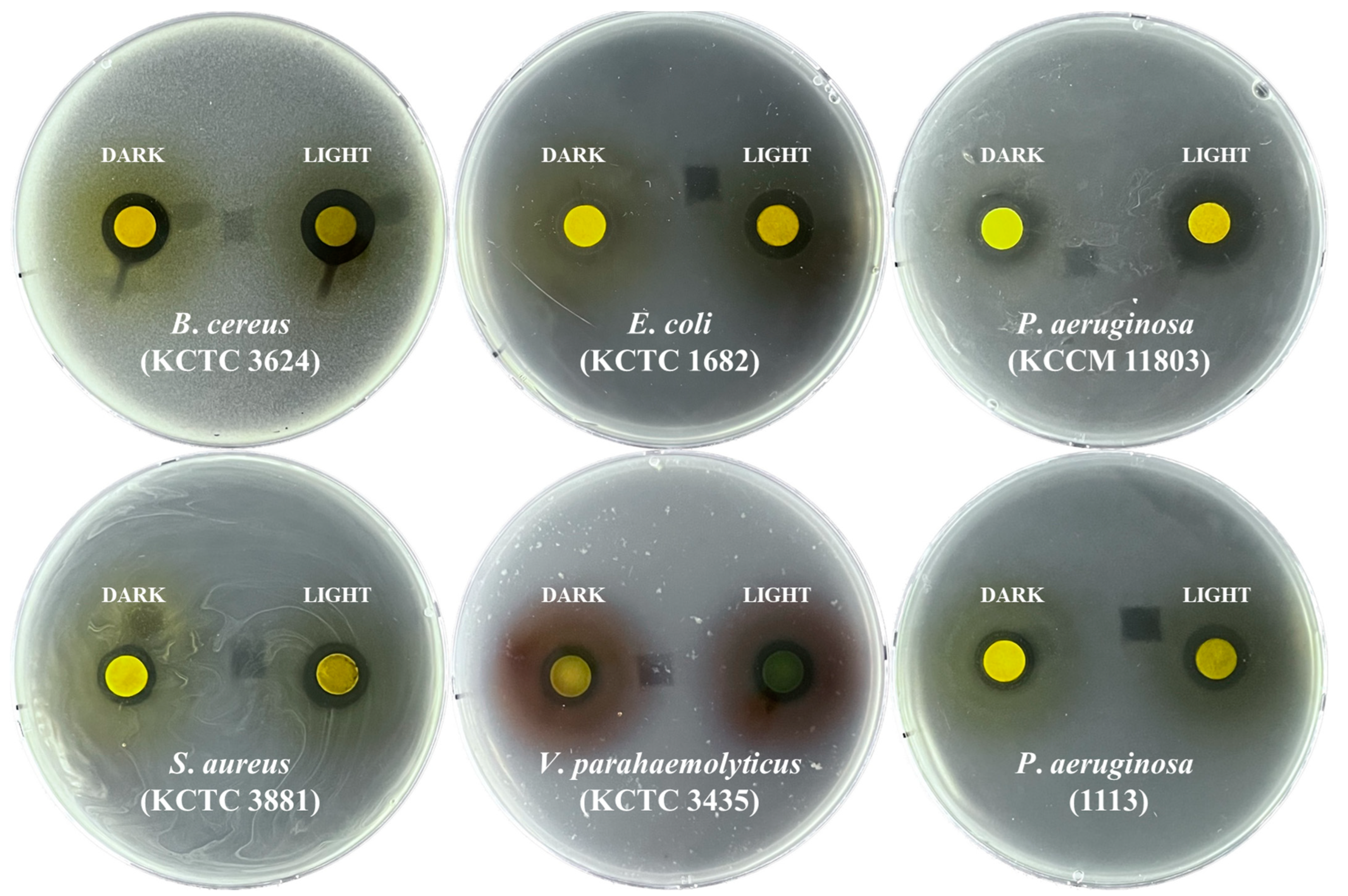 Plants 12 01613 g002