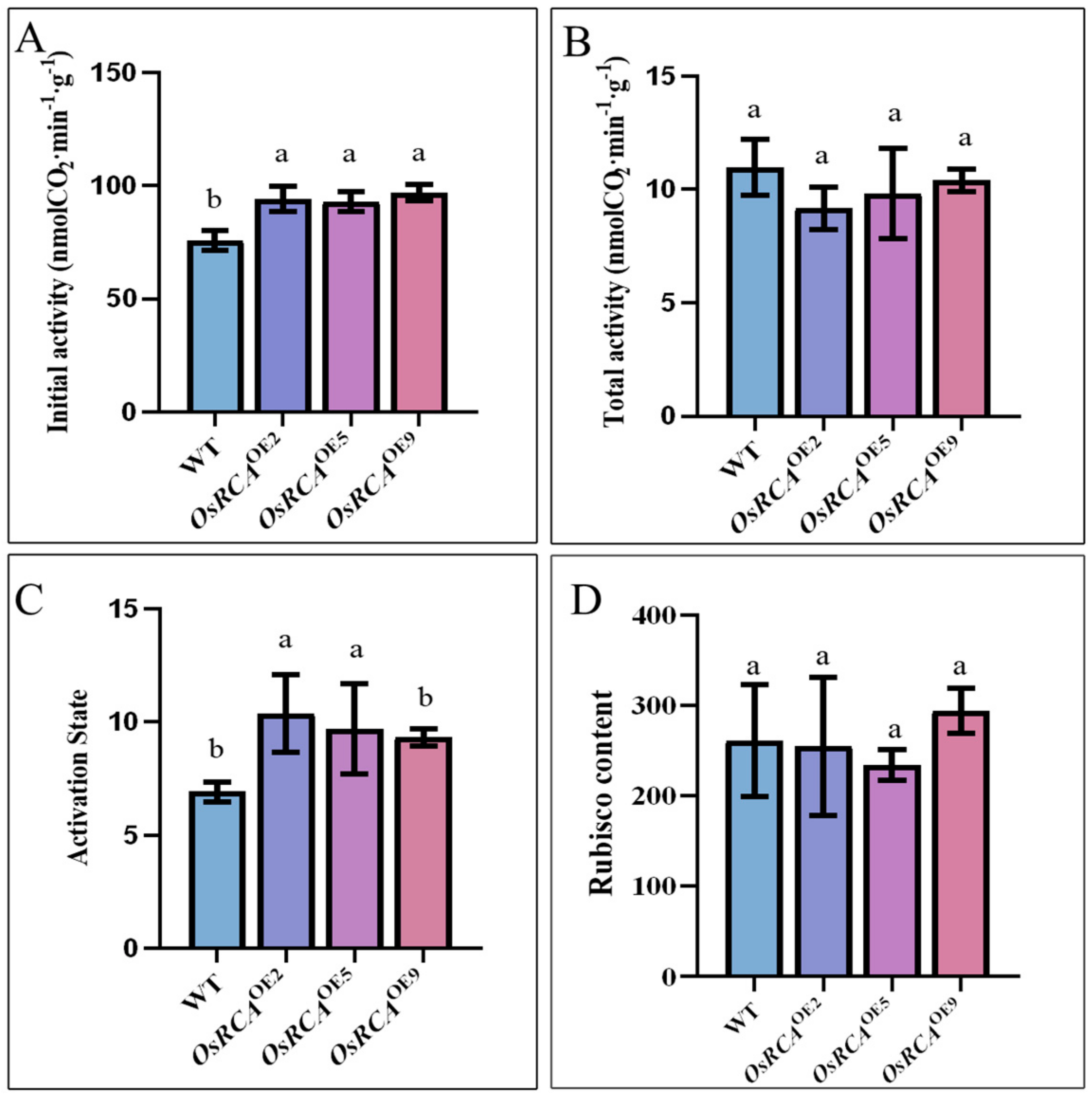 Plants 12 01614 g002 Plants 12 01614 g002
