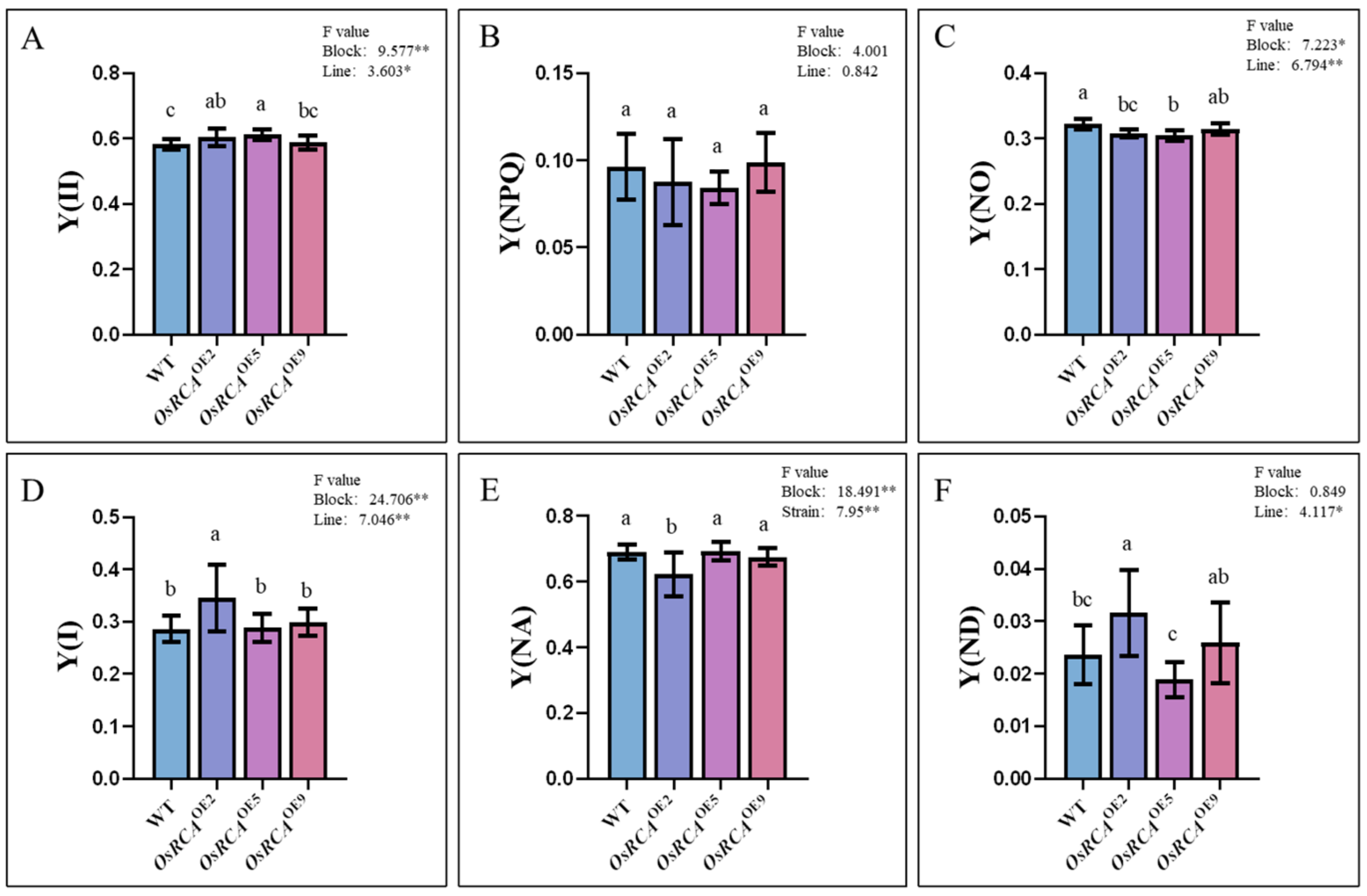 Plants 12 01614 g003 Plants 12 01614 g003