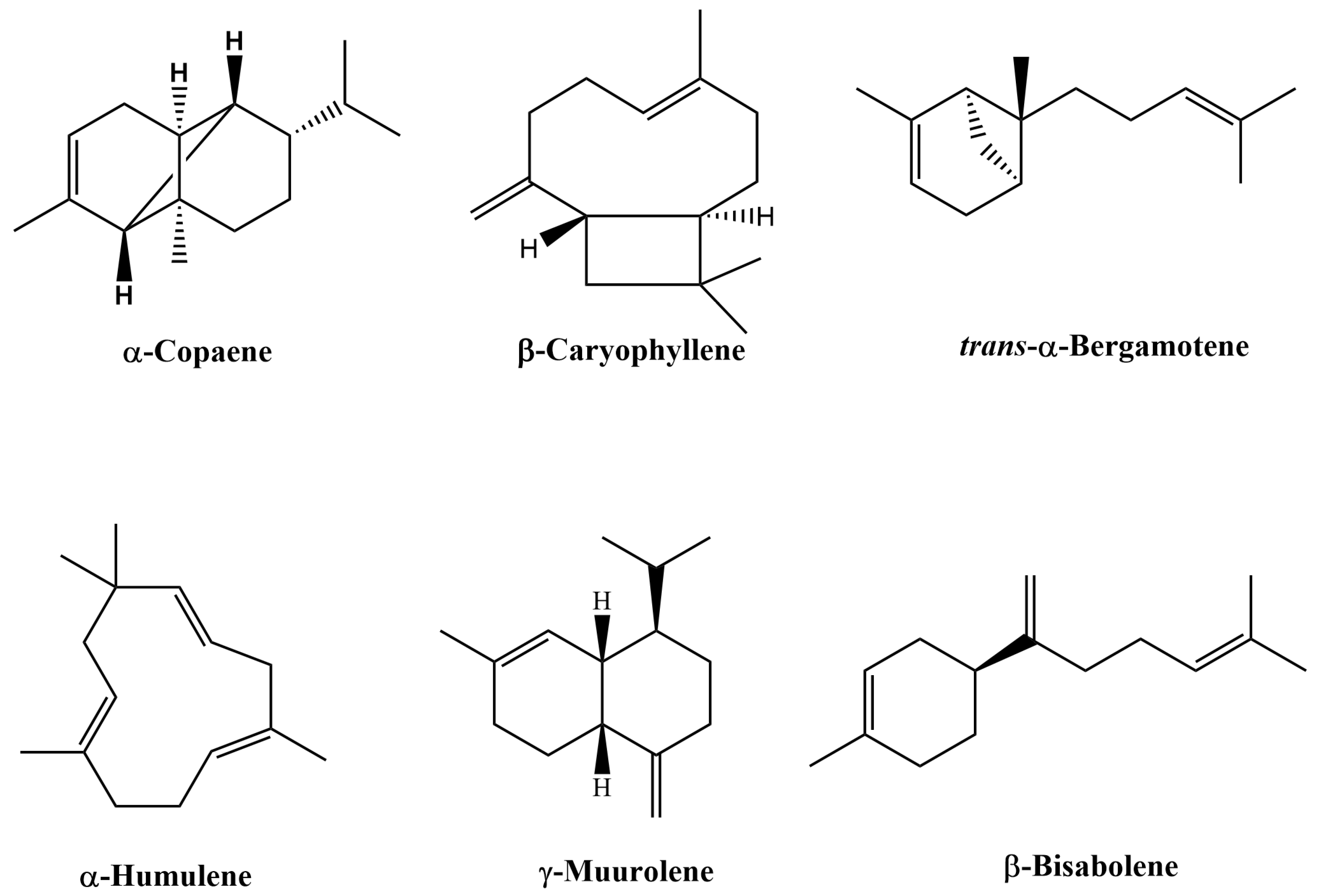 Plants 12 01619 g002 Plants 12 01619 g002