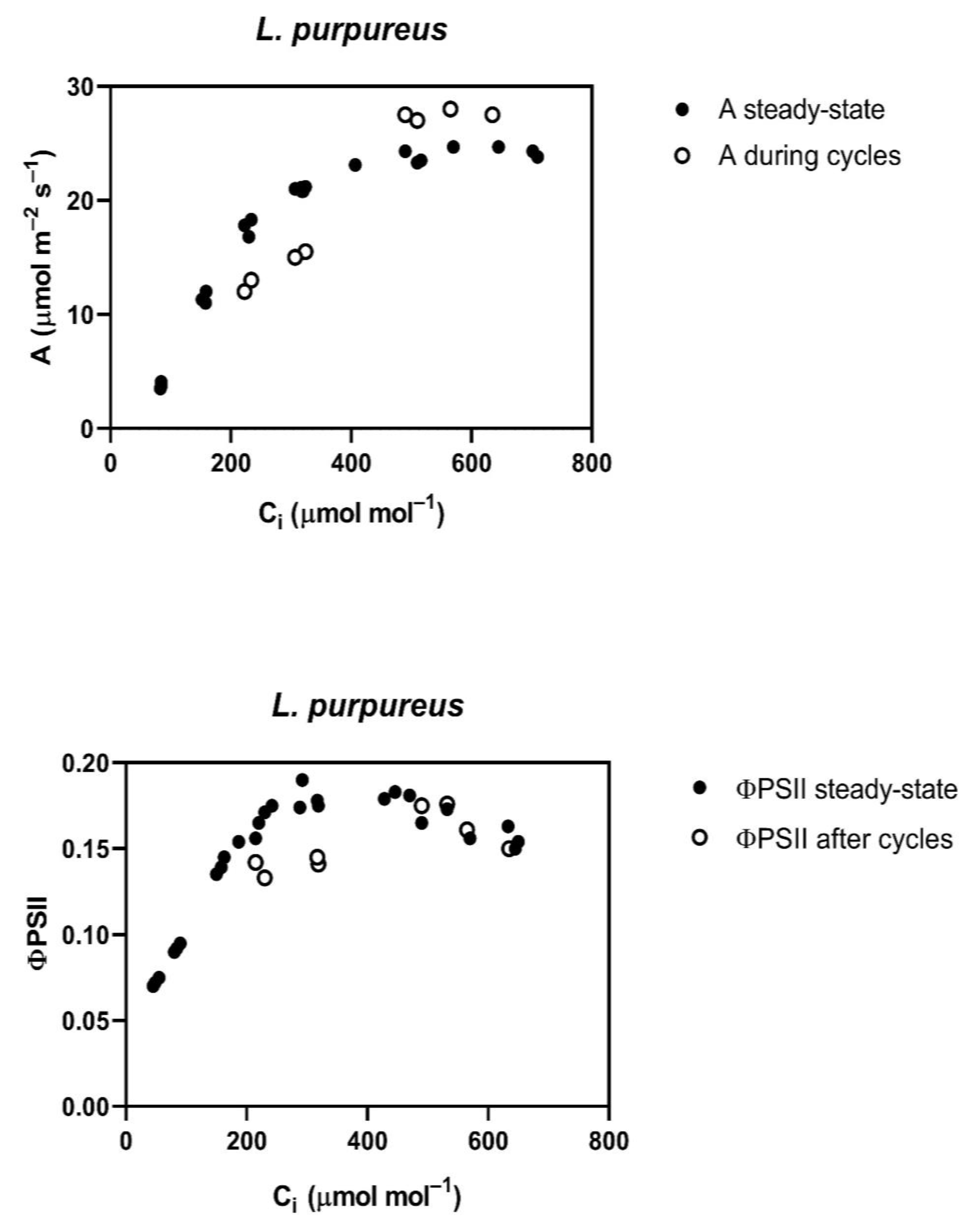 Plants 12 01620 g001b