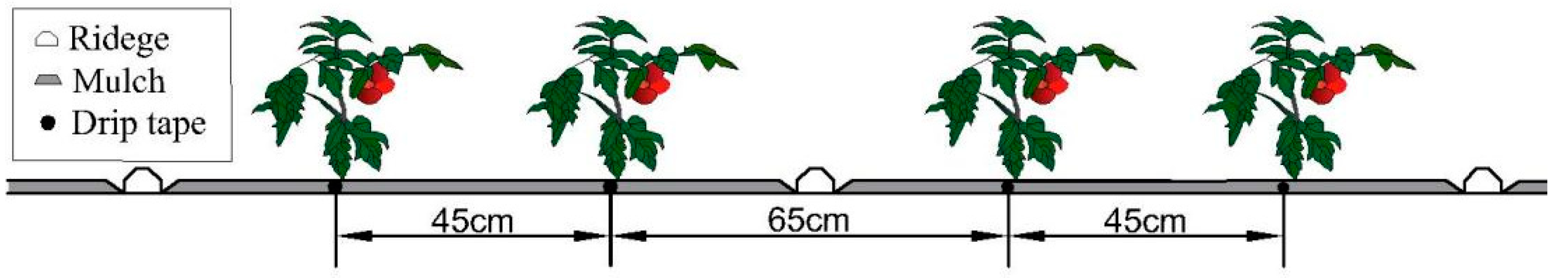Plants 12 01625 g007
