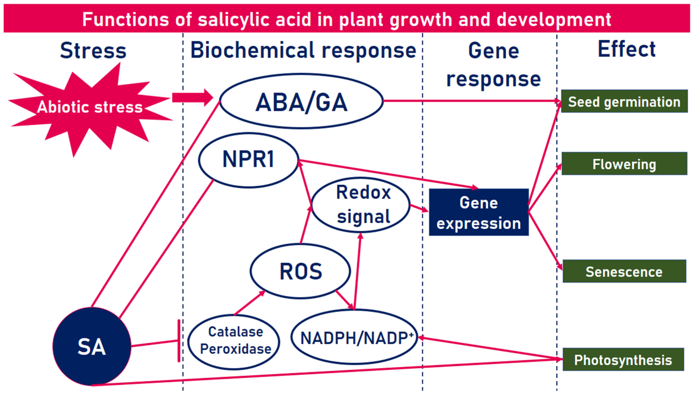 Plants 12 01637 g002 Plants 12 01637 g002