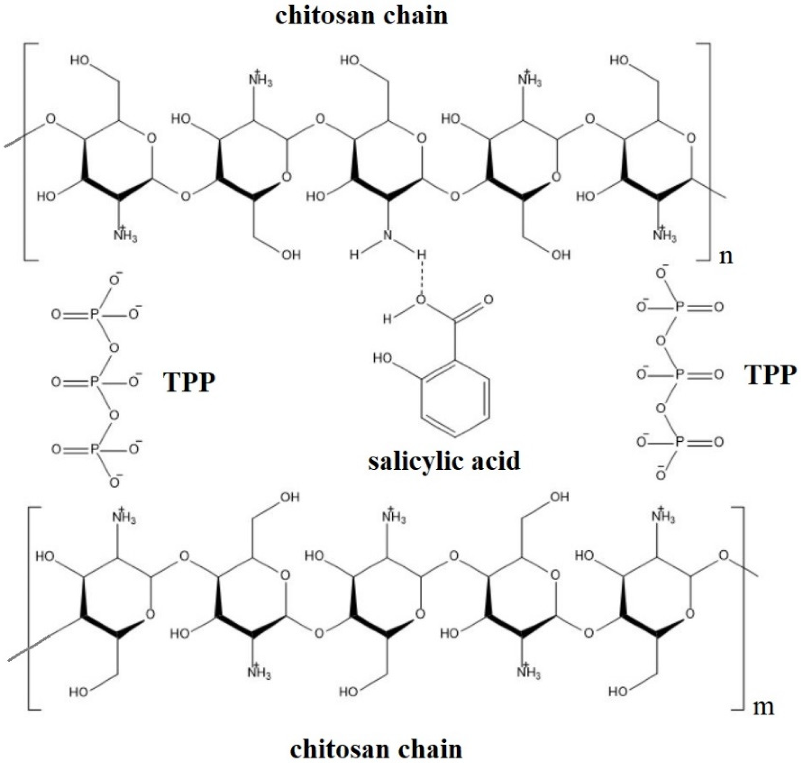 Plants 12 01637 g003 Plants 12 01637 g003