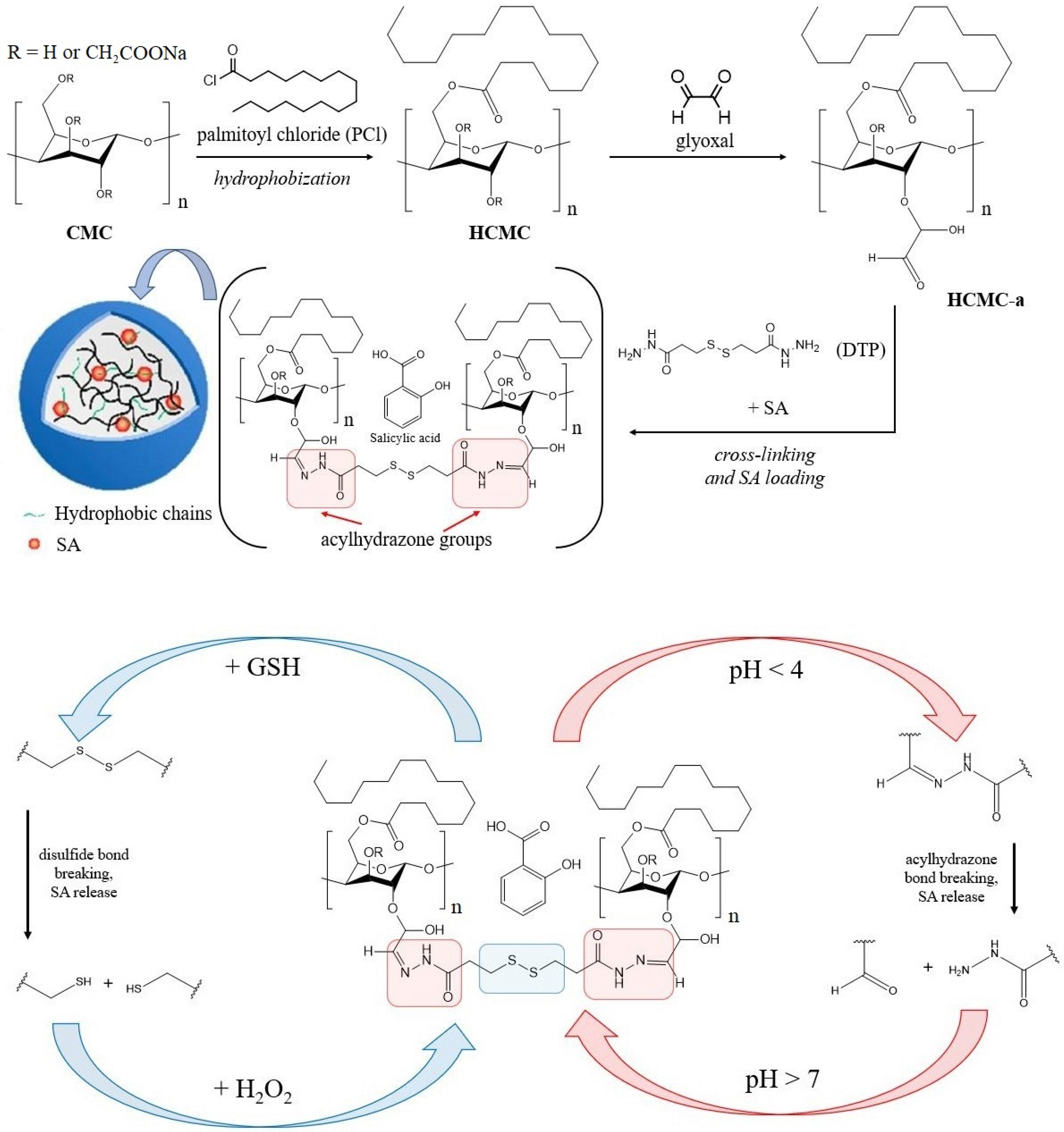 Plants 12 01637 g004 Plants 12 01637 g004