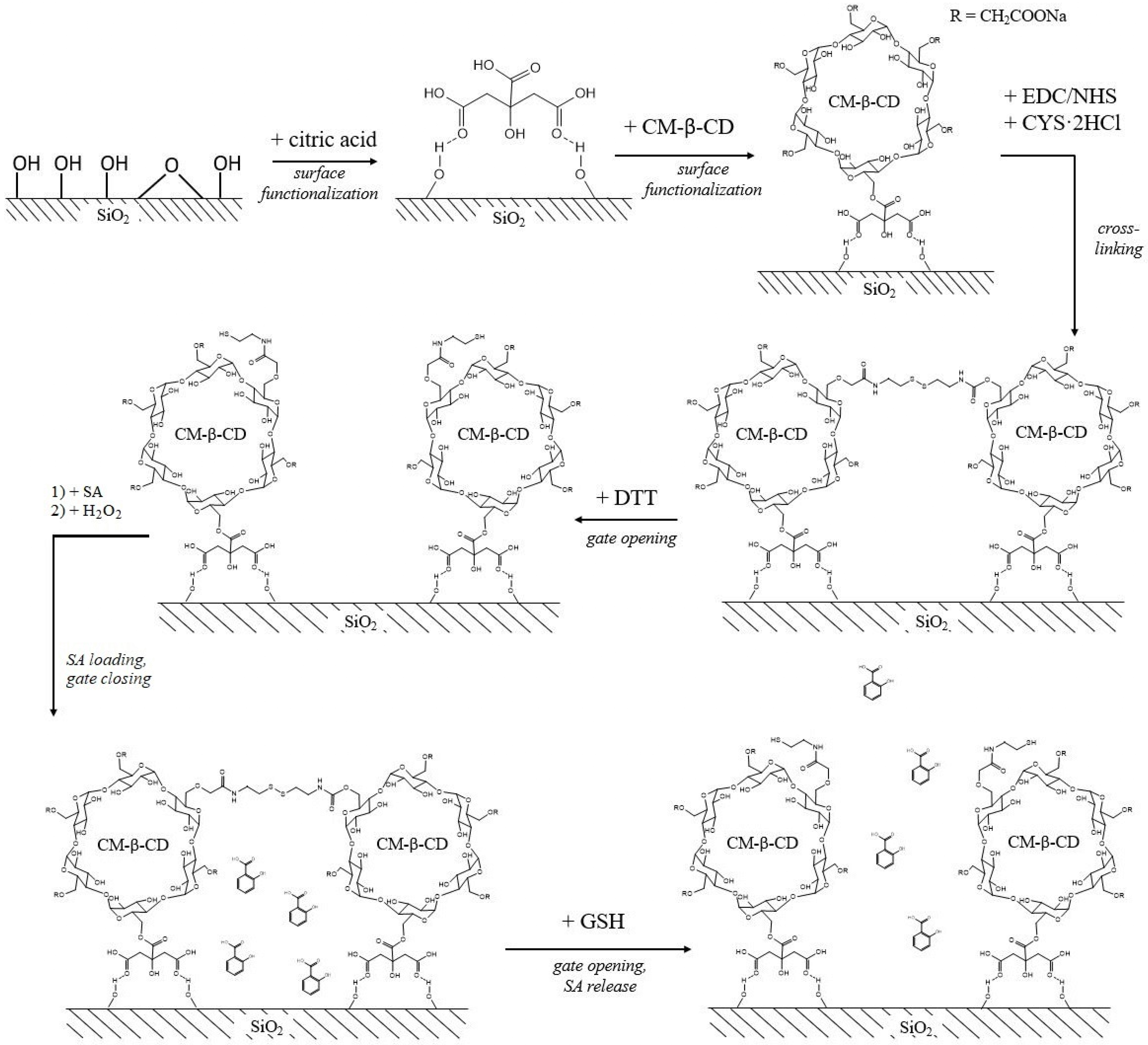 Plants 12 01637 g005 Plants 12 01637 g005