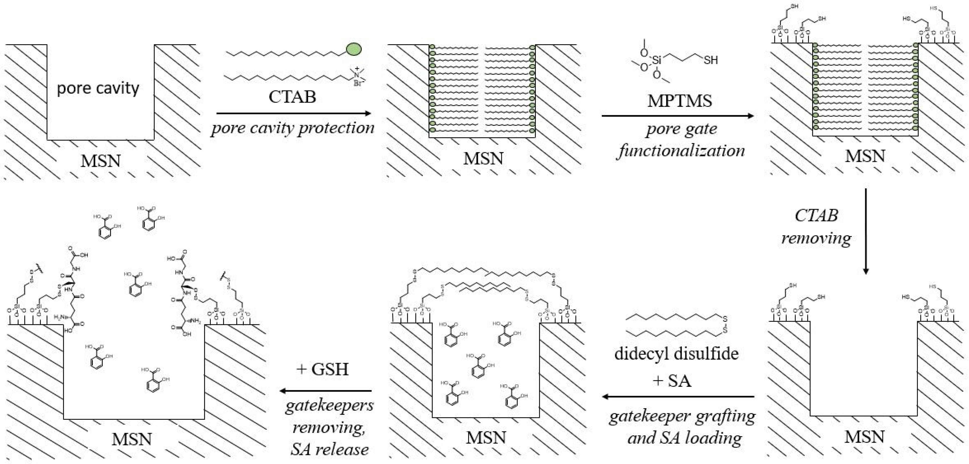 Plants 12 01637 g006 Plants 12 01637 g006