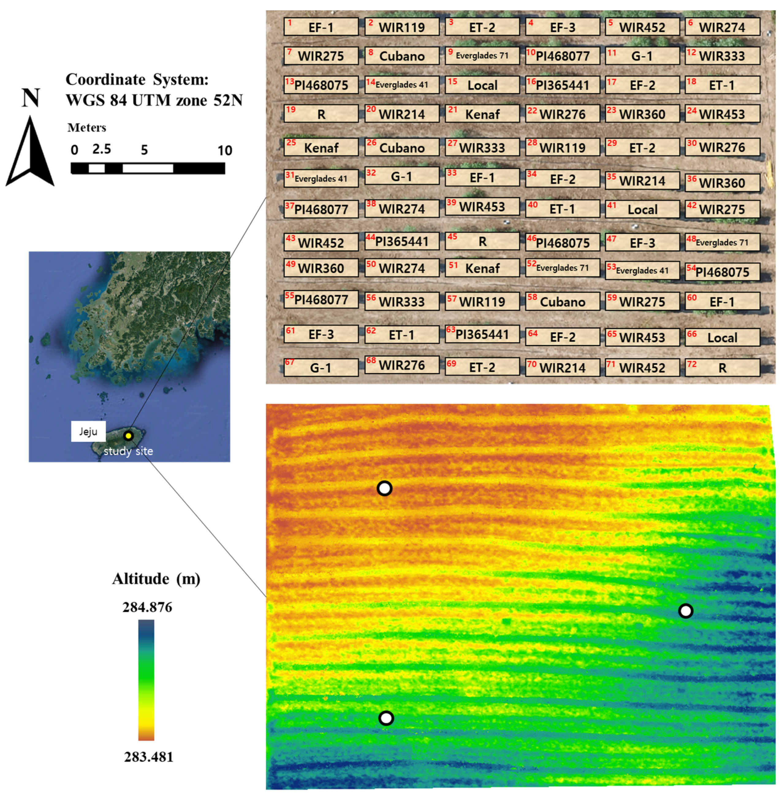 Plants 12 01638 g004 Plants 12 01638 g004