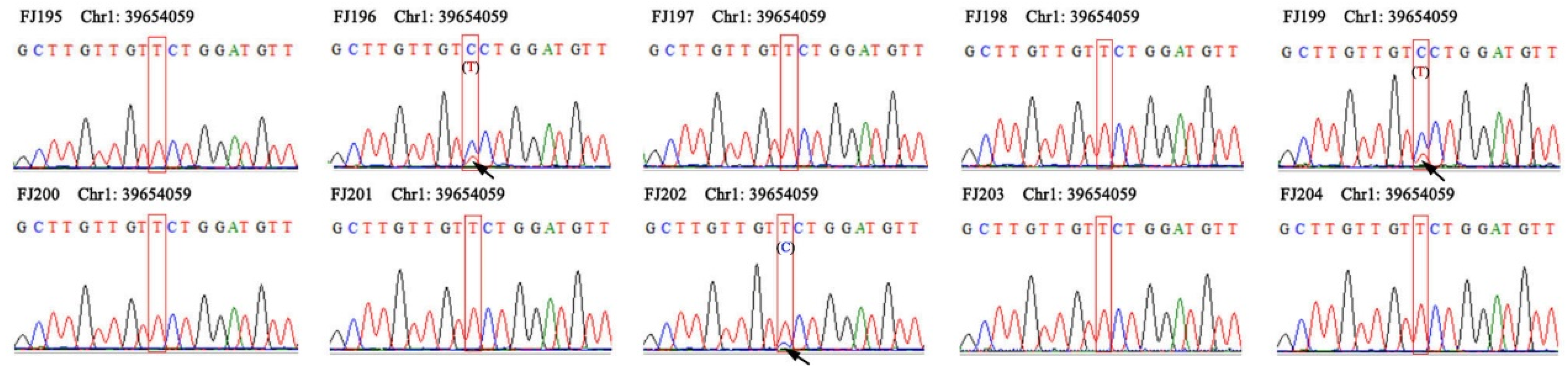Plants 12 01643 g006