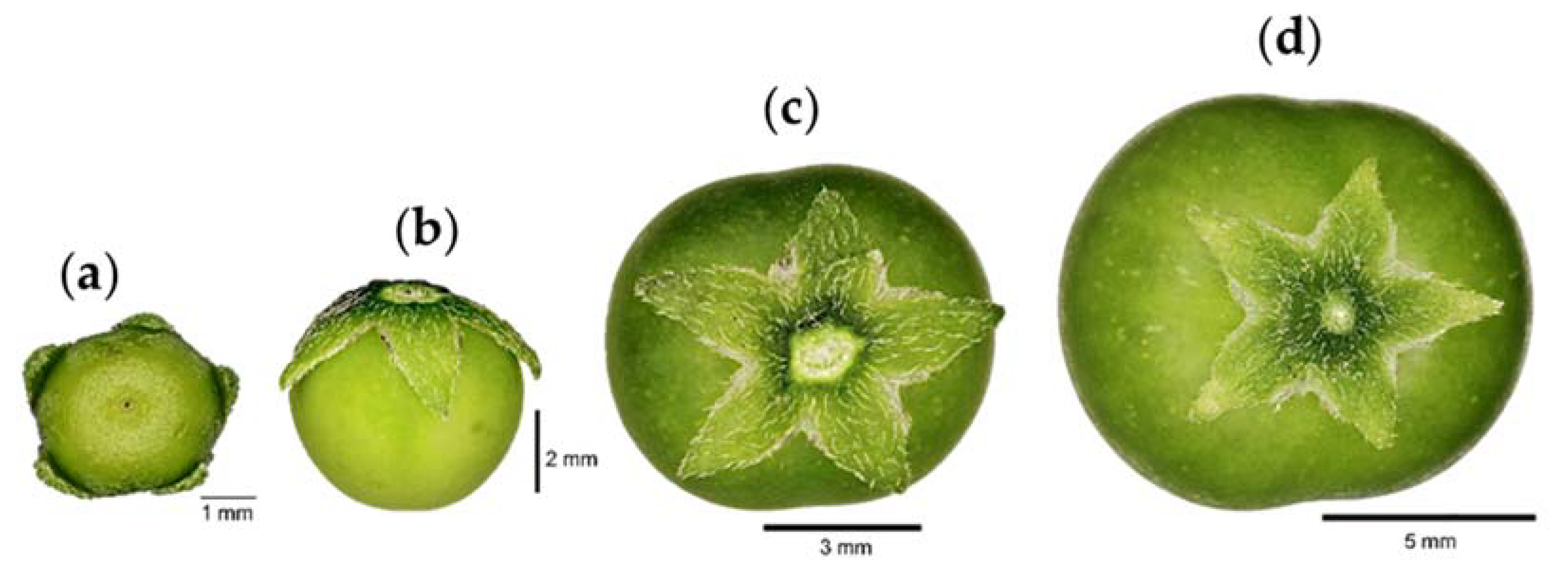 Plants 12 01645 g012
