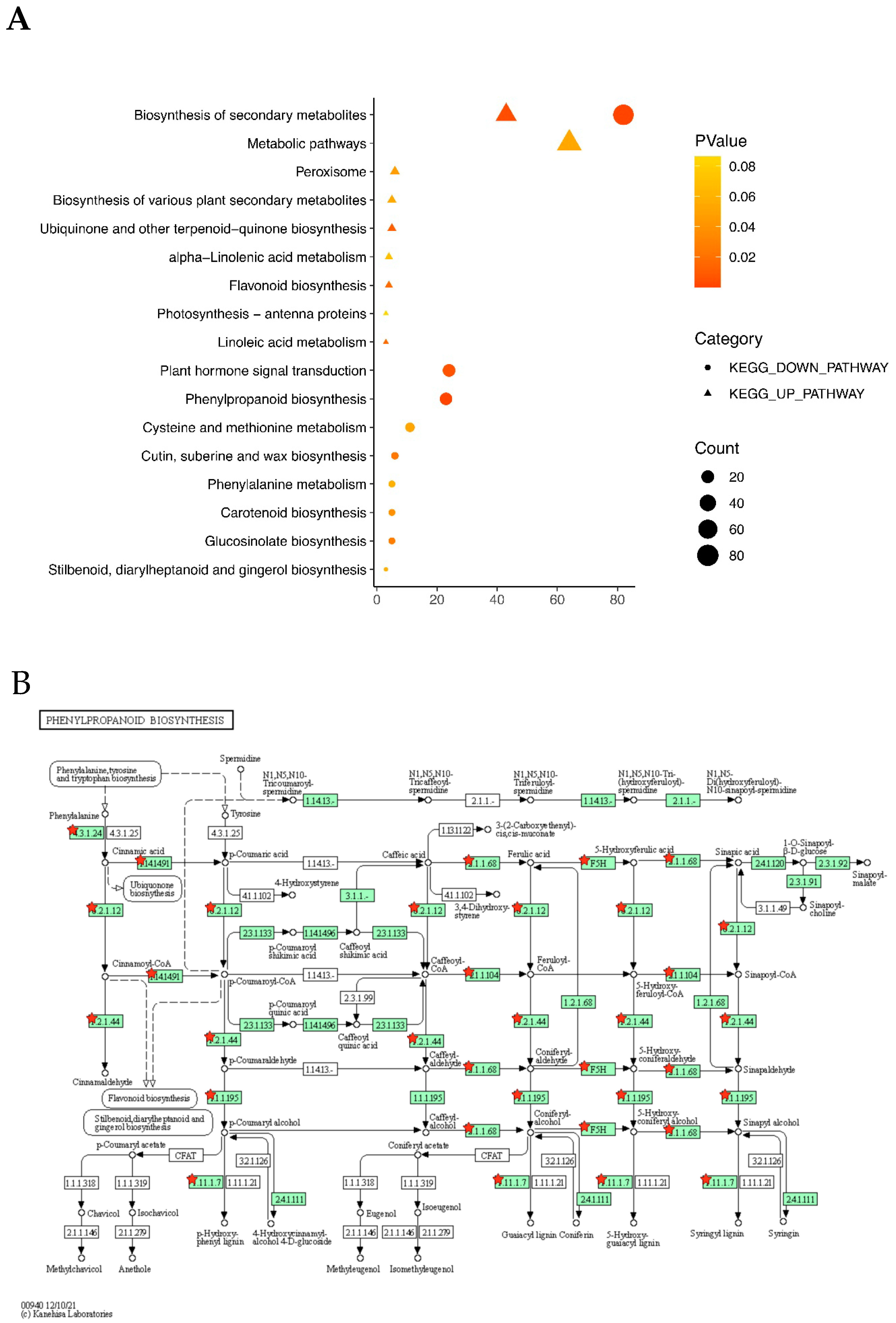 Plants 12 01650 g006