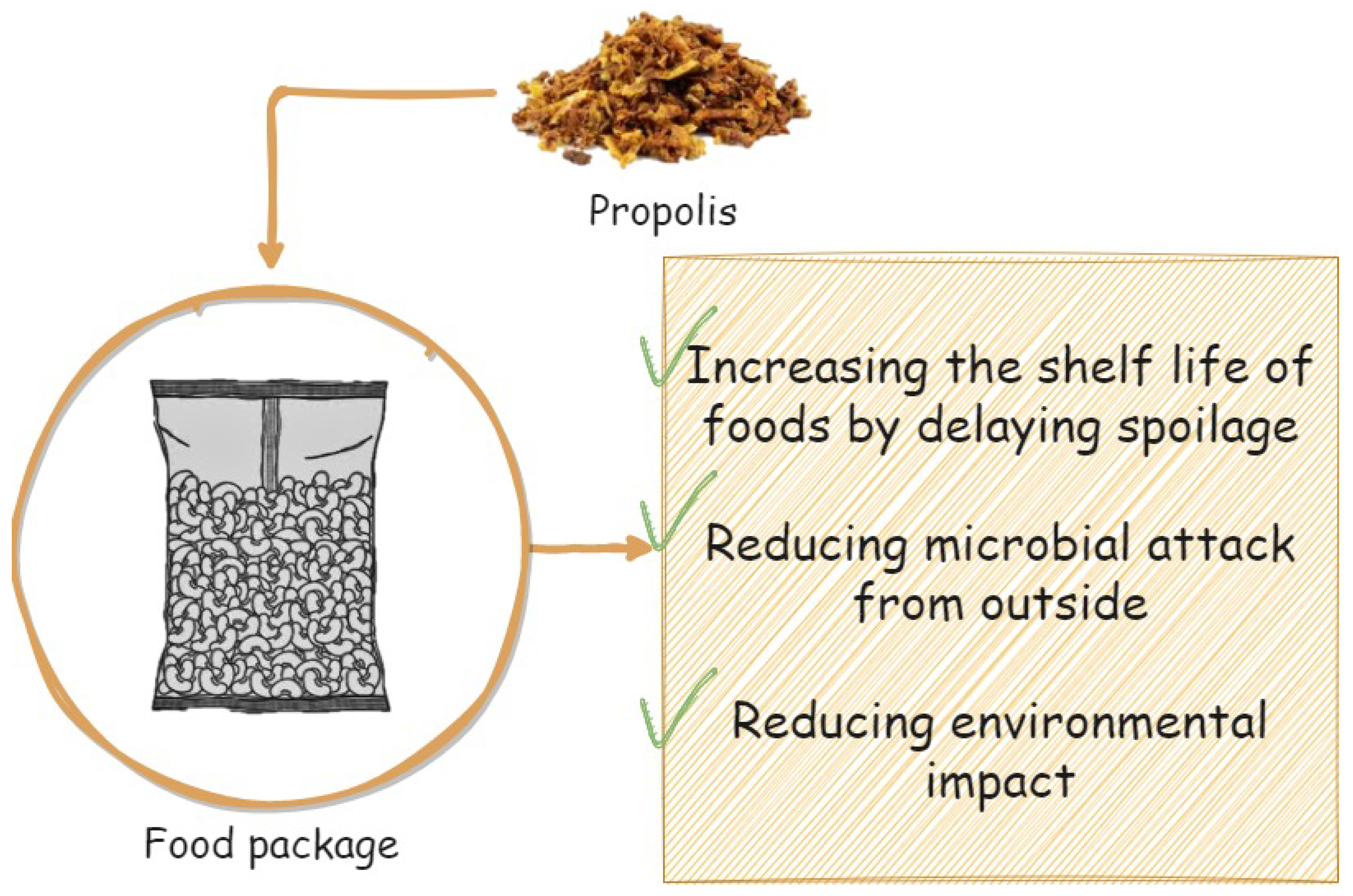 Plants 12 01654 g003