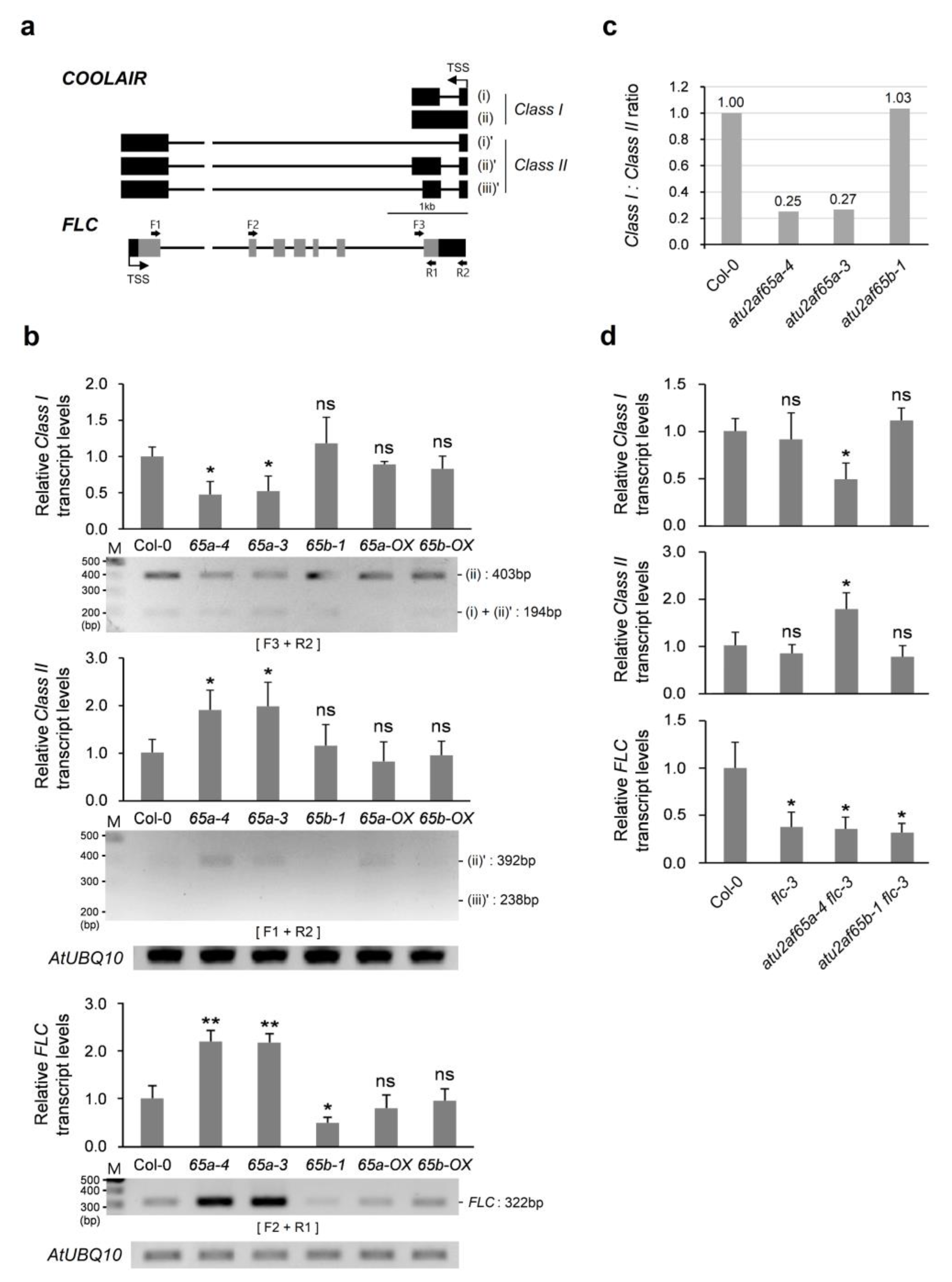 Plants 12 01655 g004