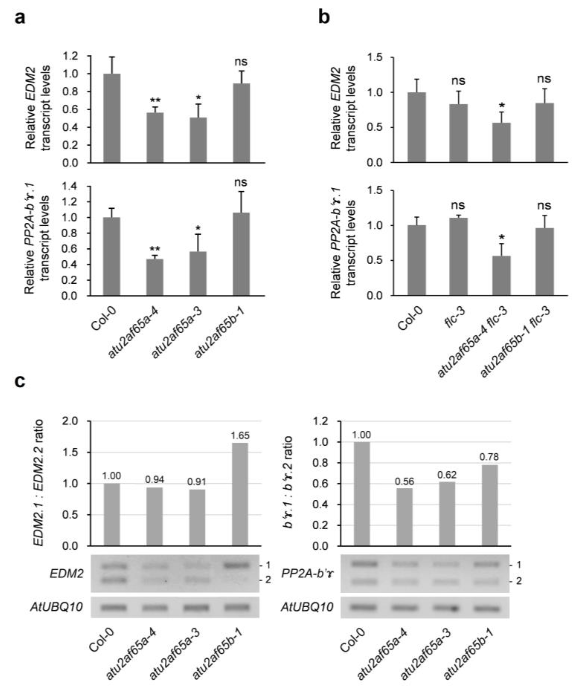 Plants 12 01655 g005