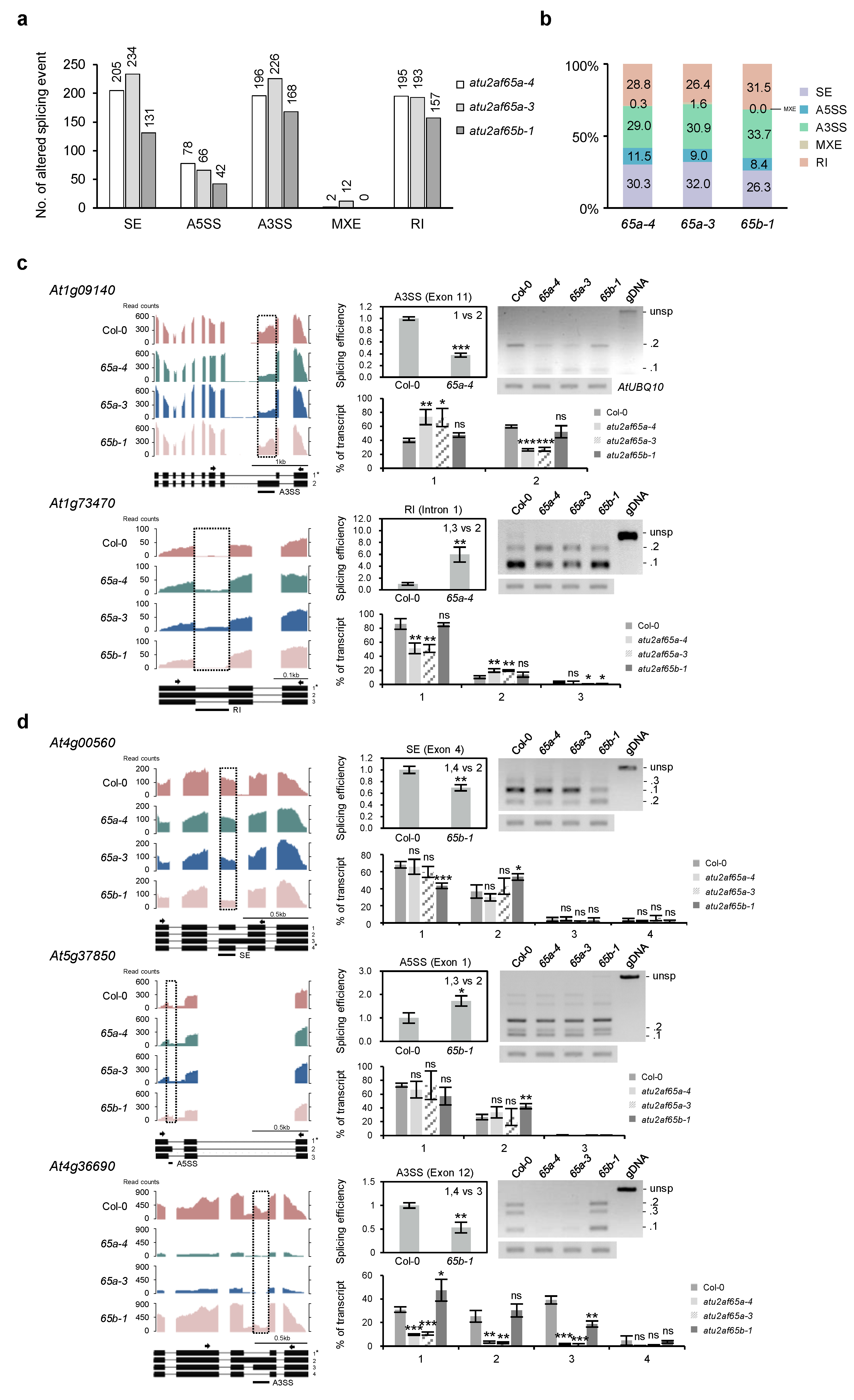 Plants 12 01655 g006