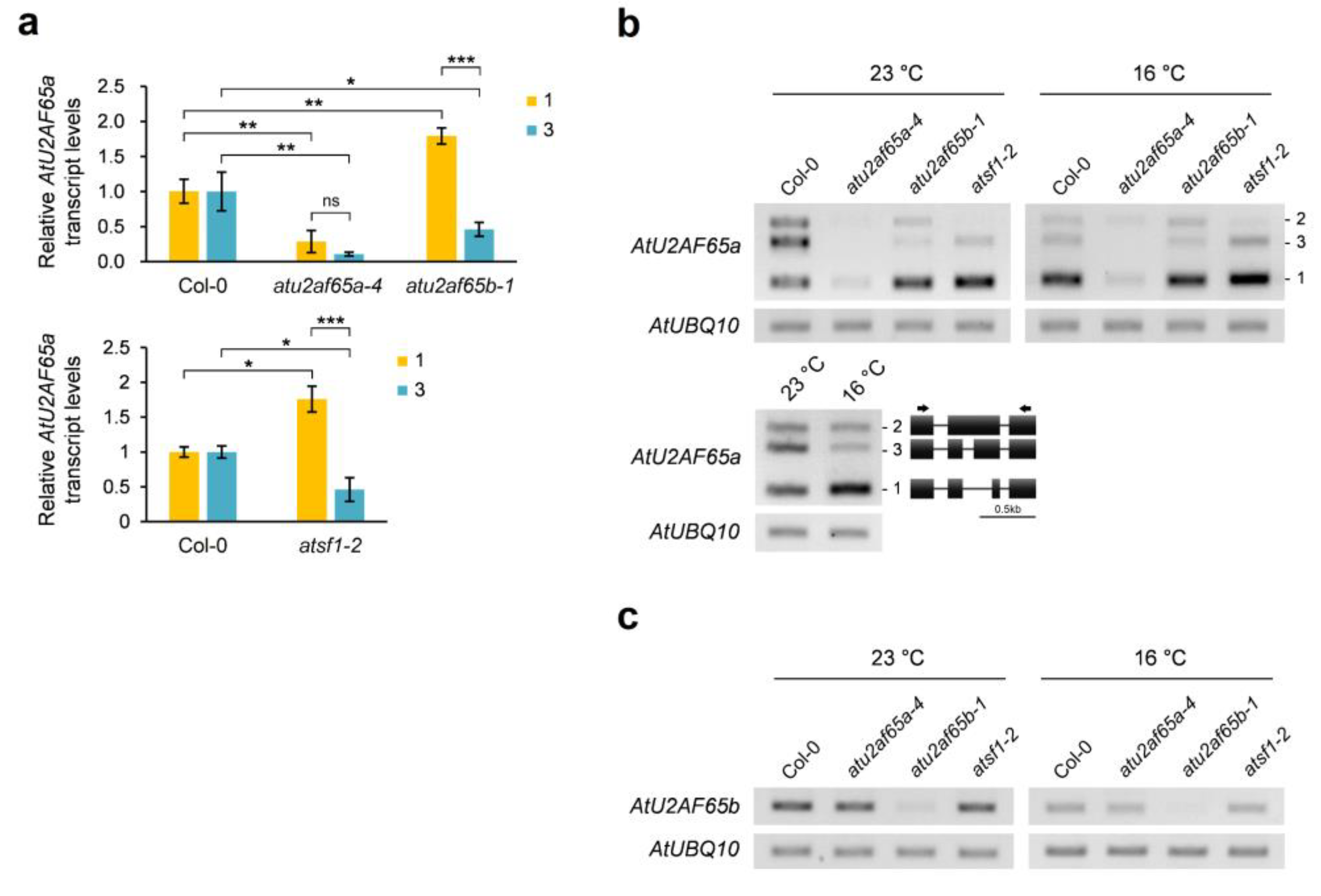 Plants 12 01655 g007