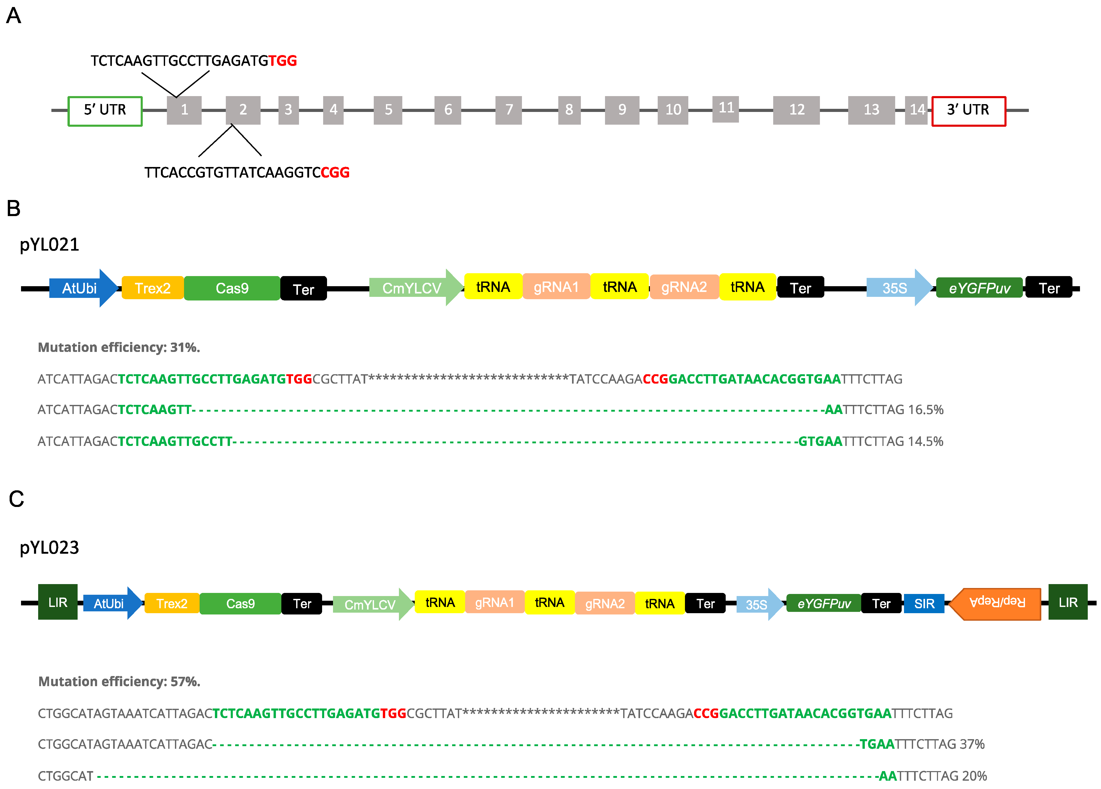 Plants 12 01657 g004 Plants 12 01657 g004