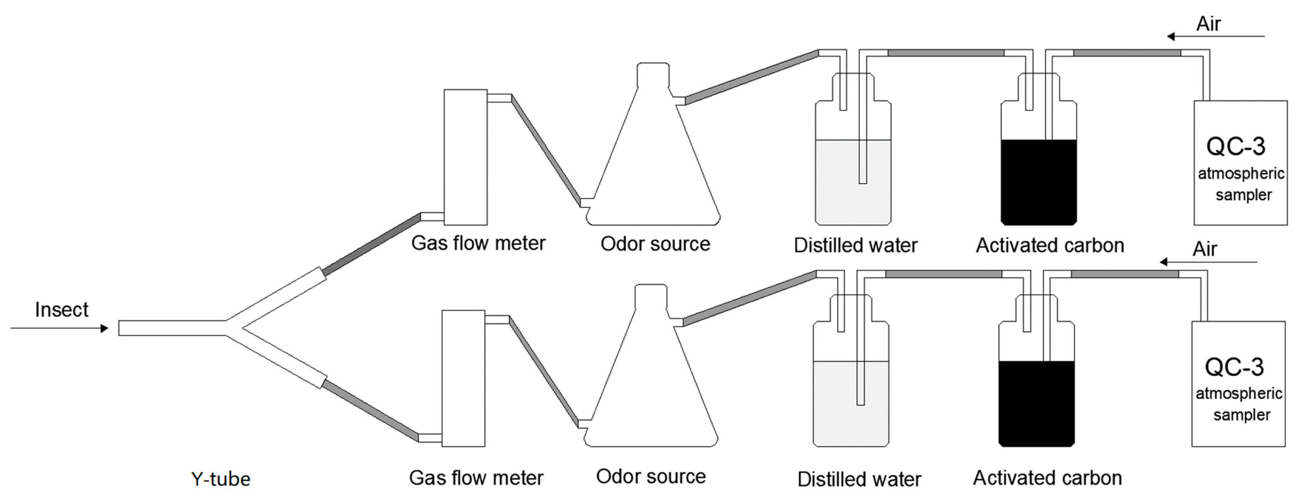 Plants 12 01658 g006