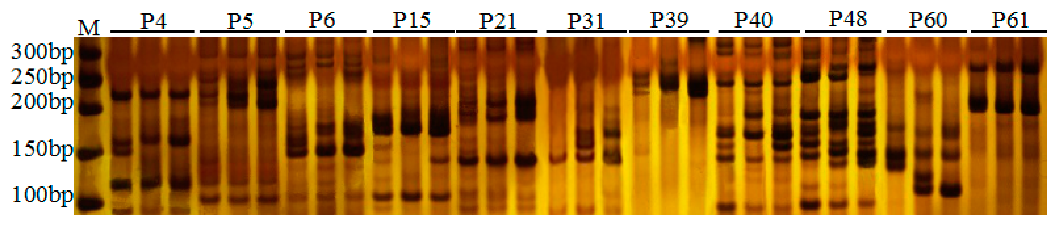 Plants 12 01661 g003