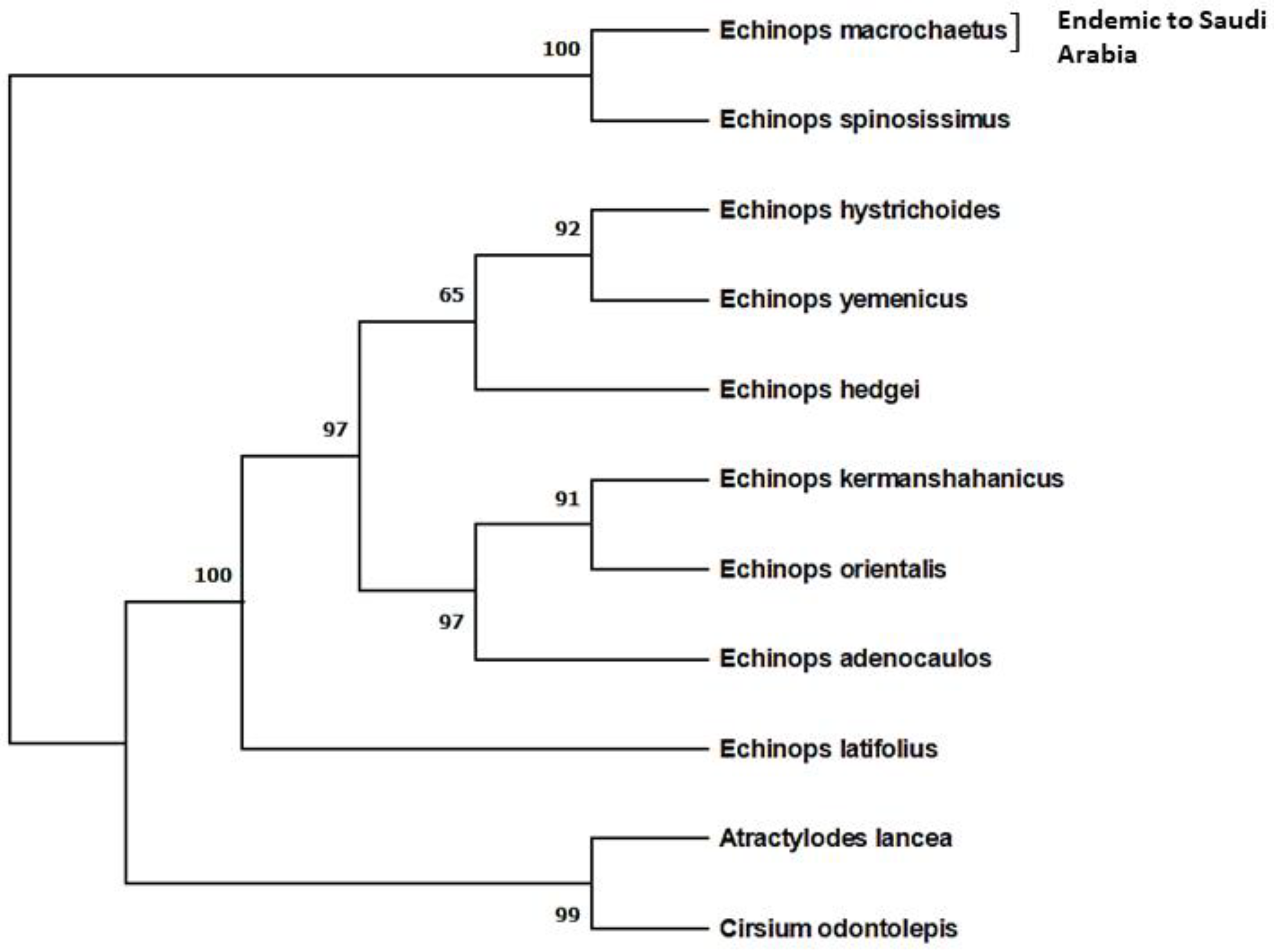 Plants 12 01669 g001