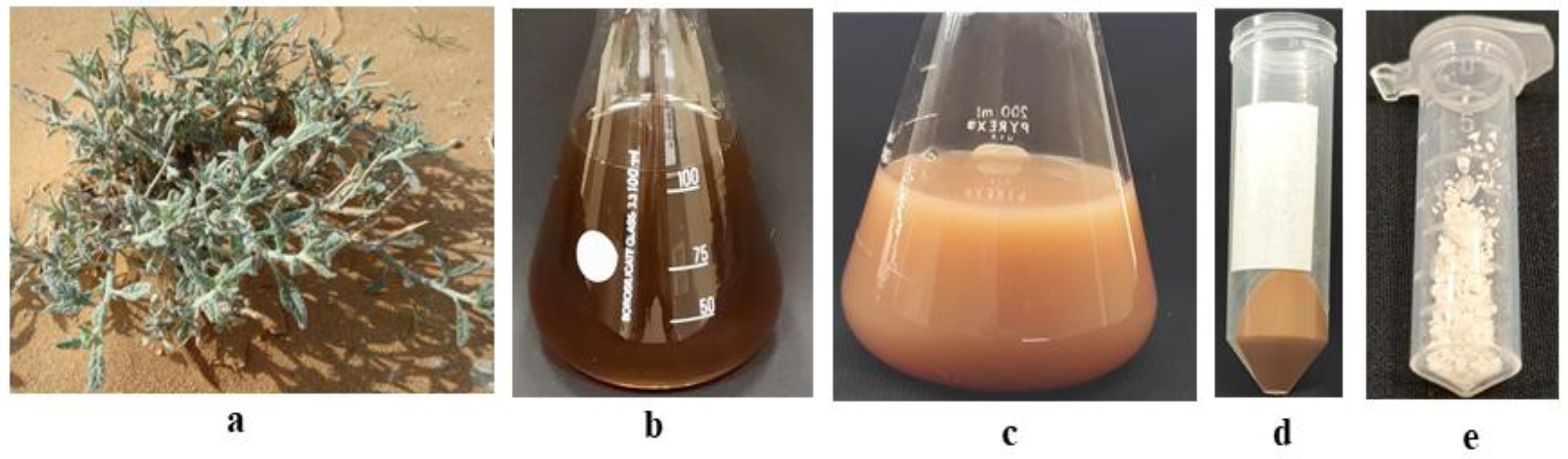 Plants 12 01669 g002
