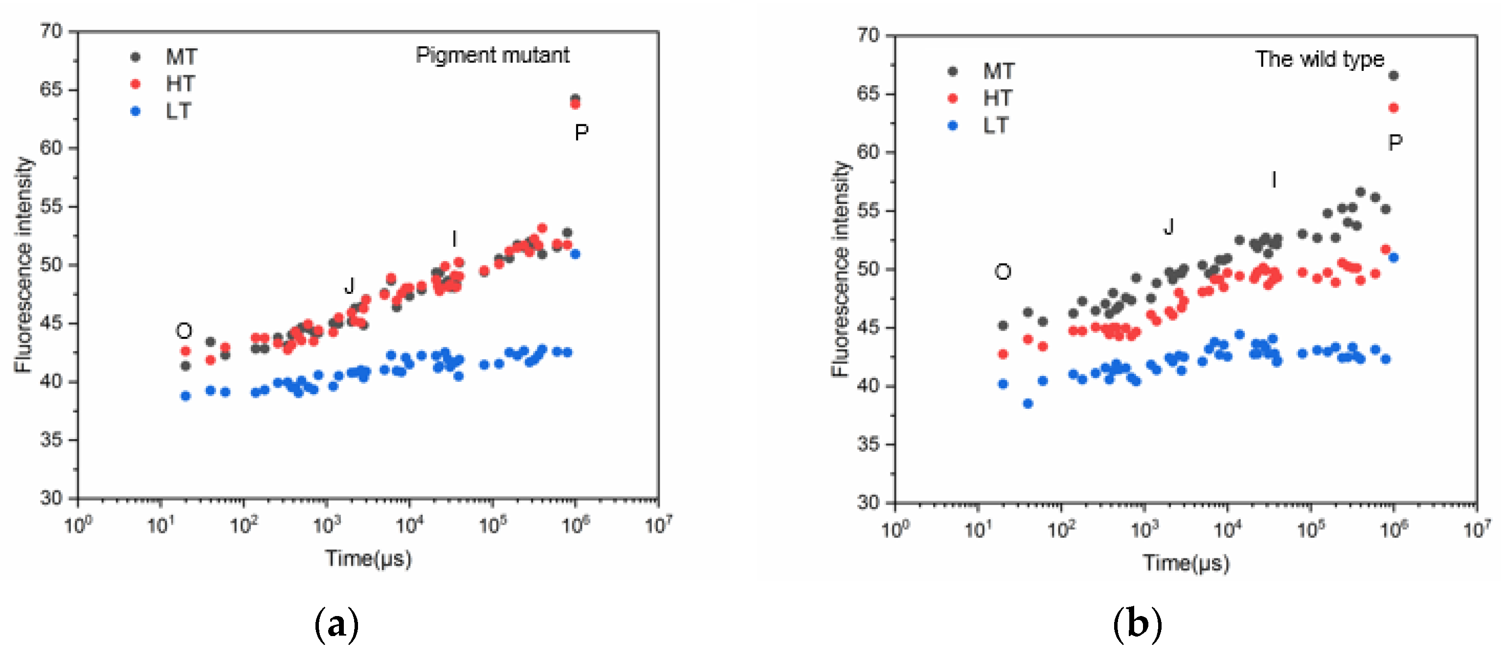 Plants 12 01670 g003