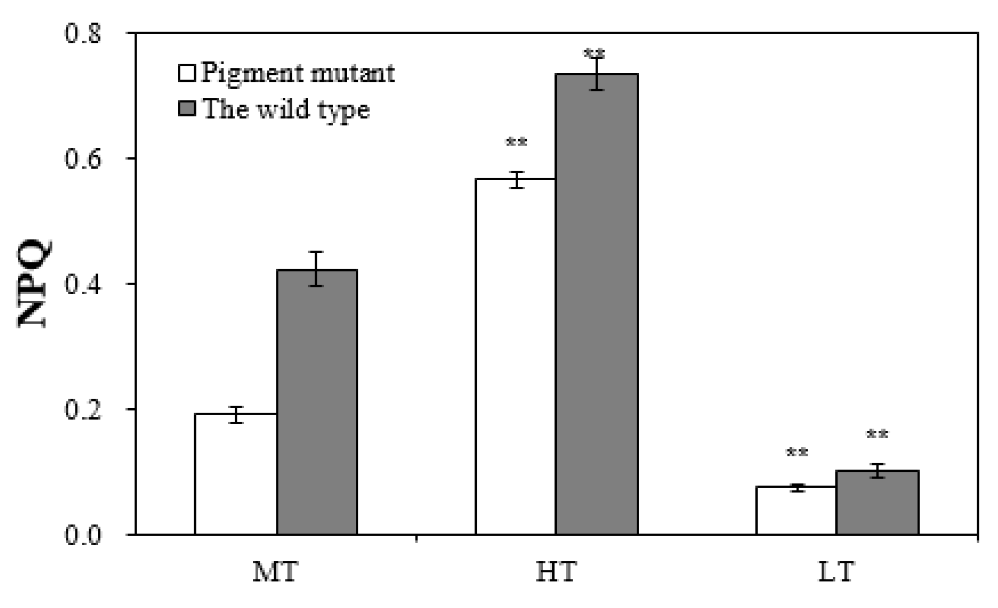 Plants 12 01670 g005