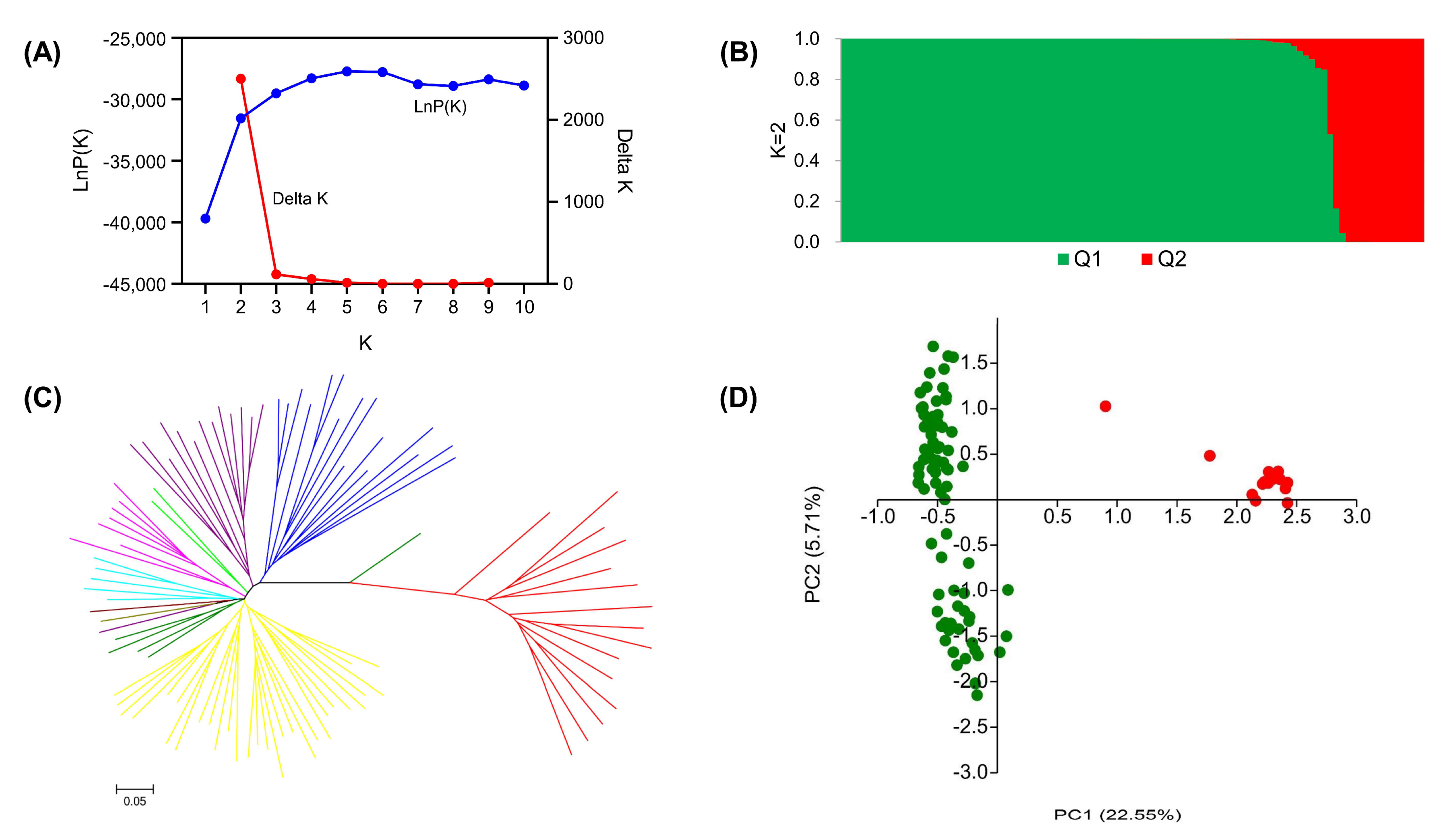 Plants 12 01678 g001