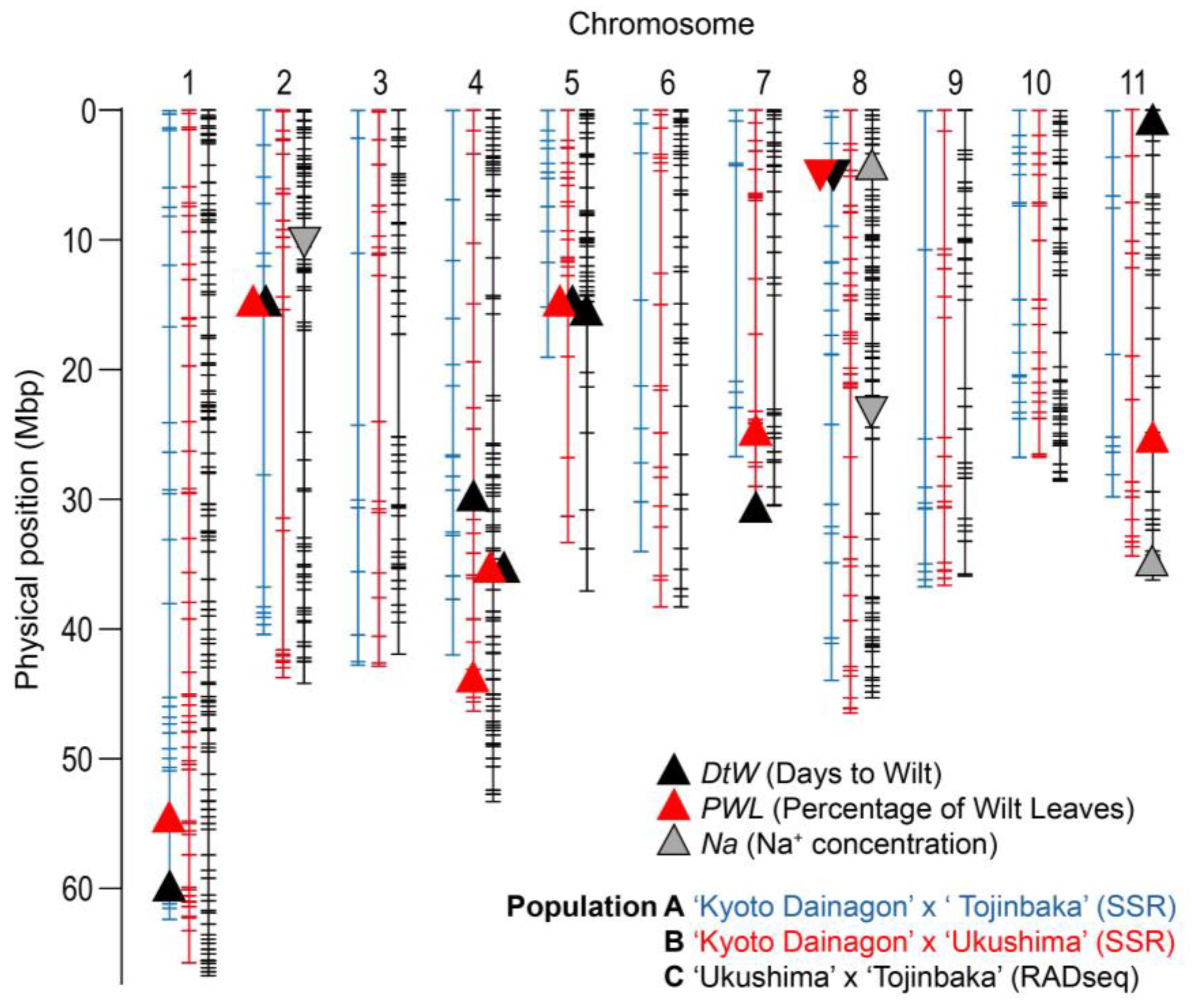 Plants 12 01680 g003