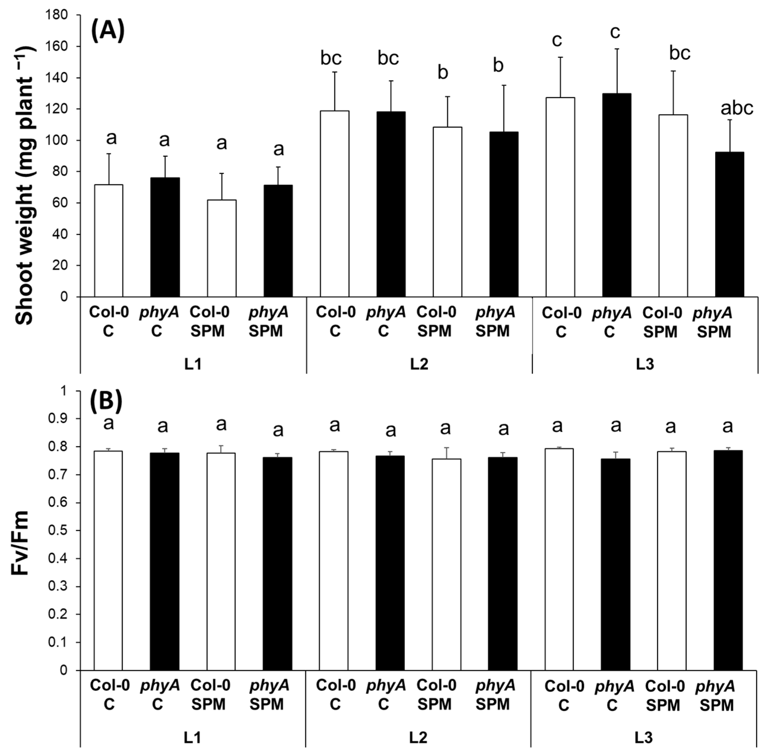 Plants 12 01689 g001 Plants 12 01689 g001