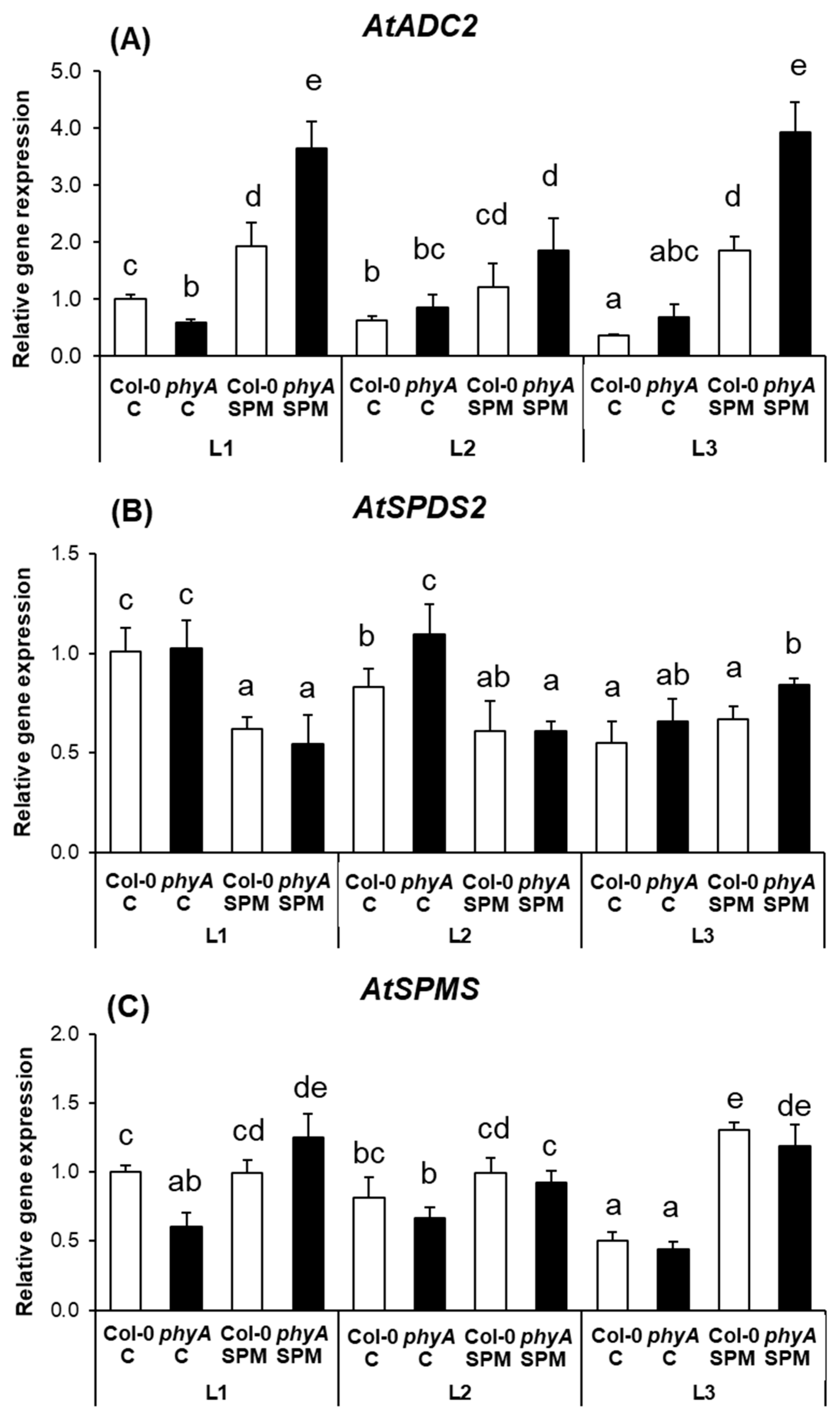 Plants 12 01689 g002 Plants 12 01689 g002
