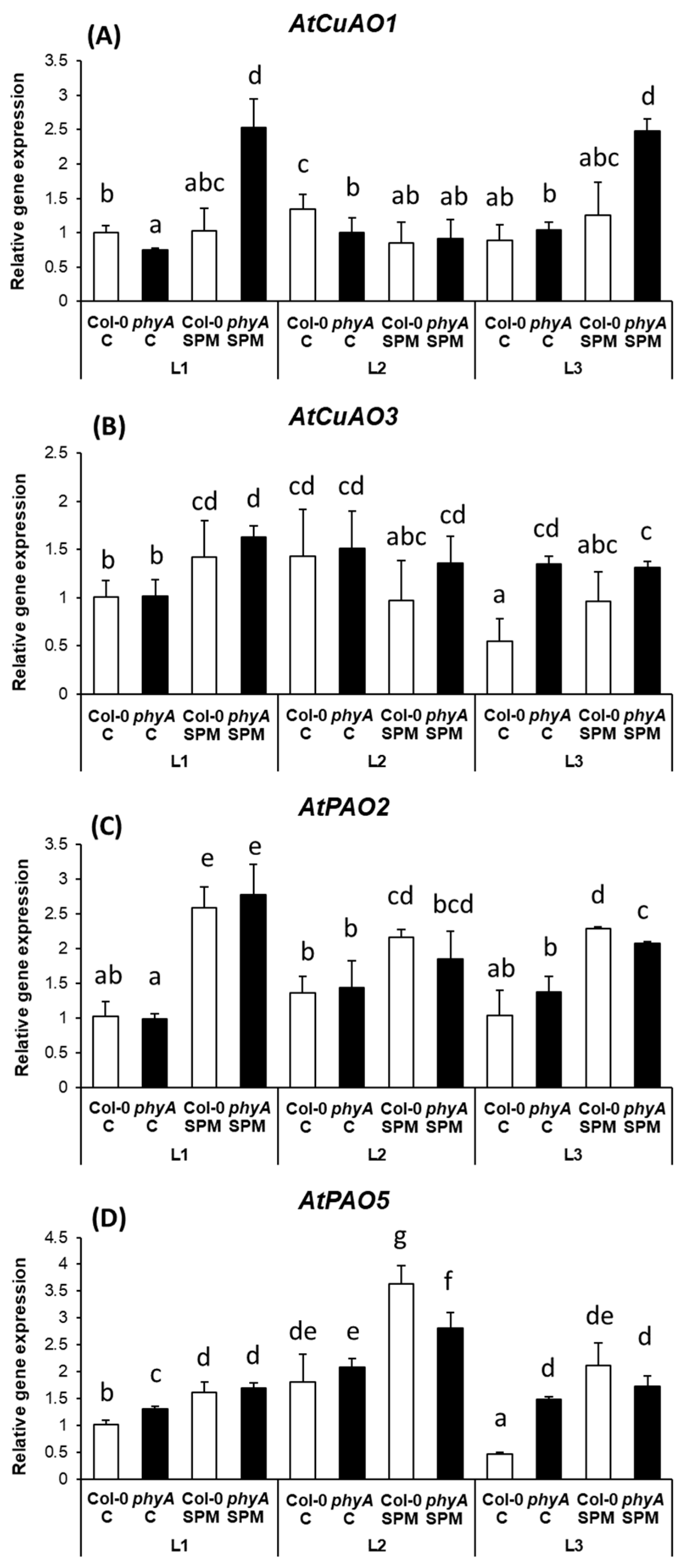 Plants 12 01689 g004 Plants 12 01689 g004