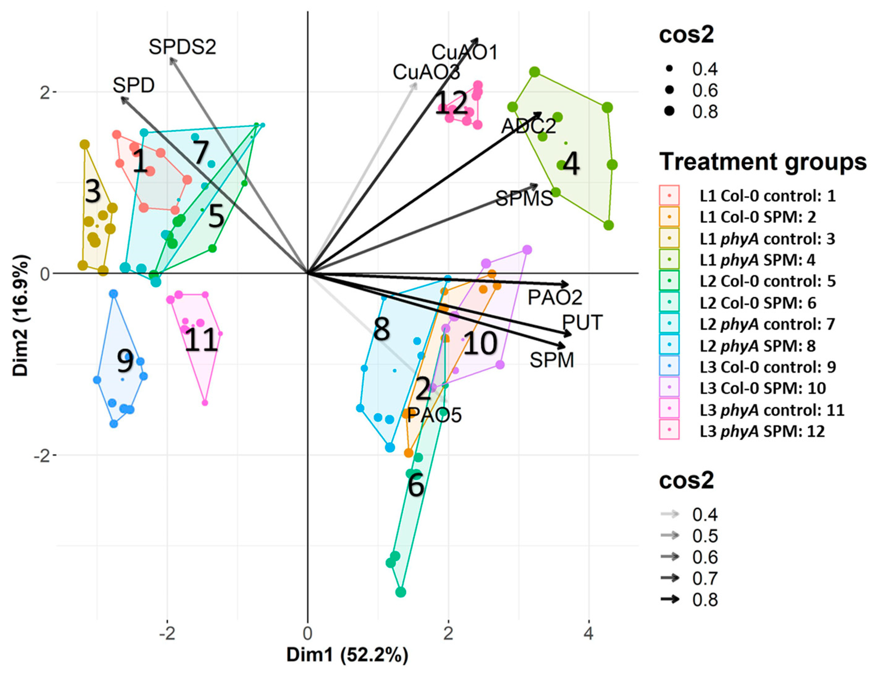Plants 12 01689 g005 Plants 12 01689 g005