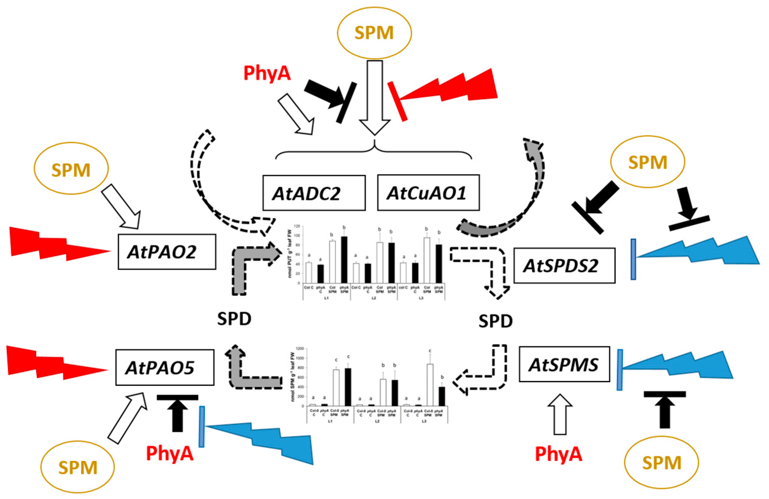 Plants 12 01689 g006 Plants 12 01689 g006
