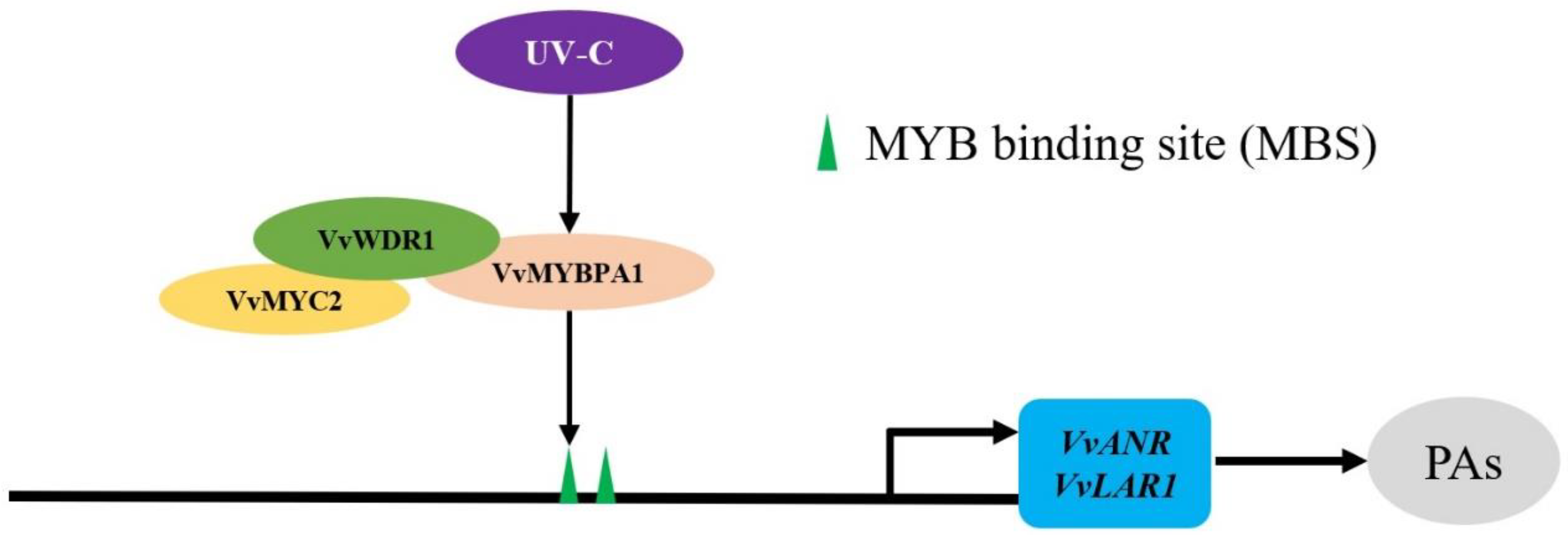 Plants 12 01691 g005