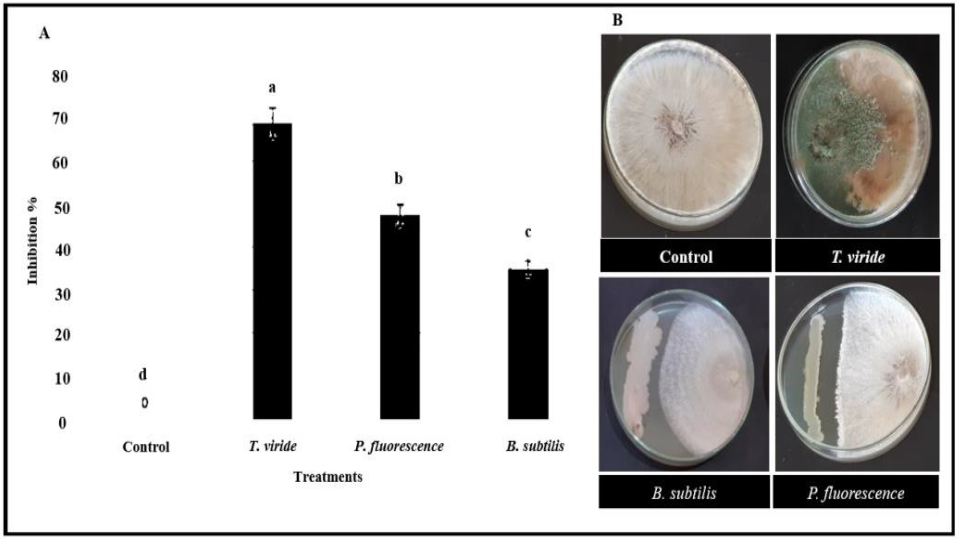 Plants 12 01694 g003 Plants 12 01694 g003