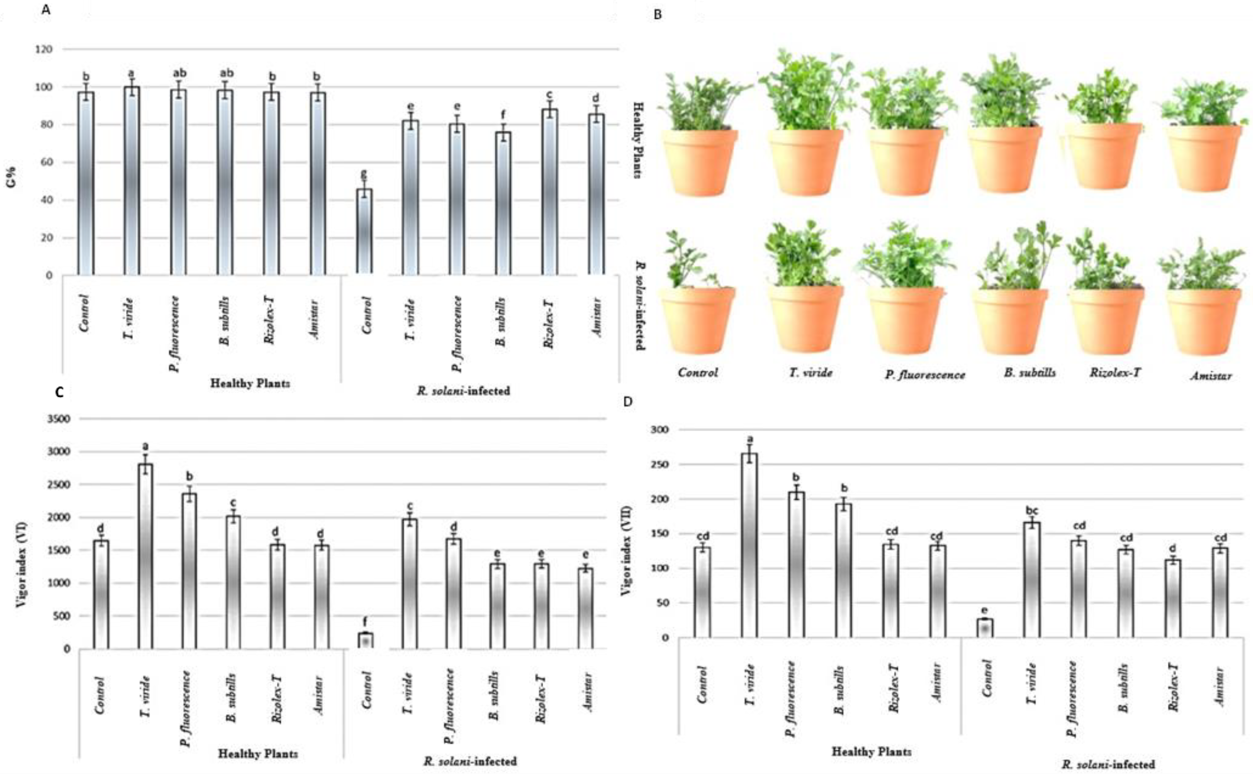 Plants 12 01694 g004 Plants 12 01694 g004