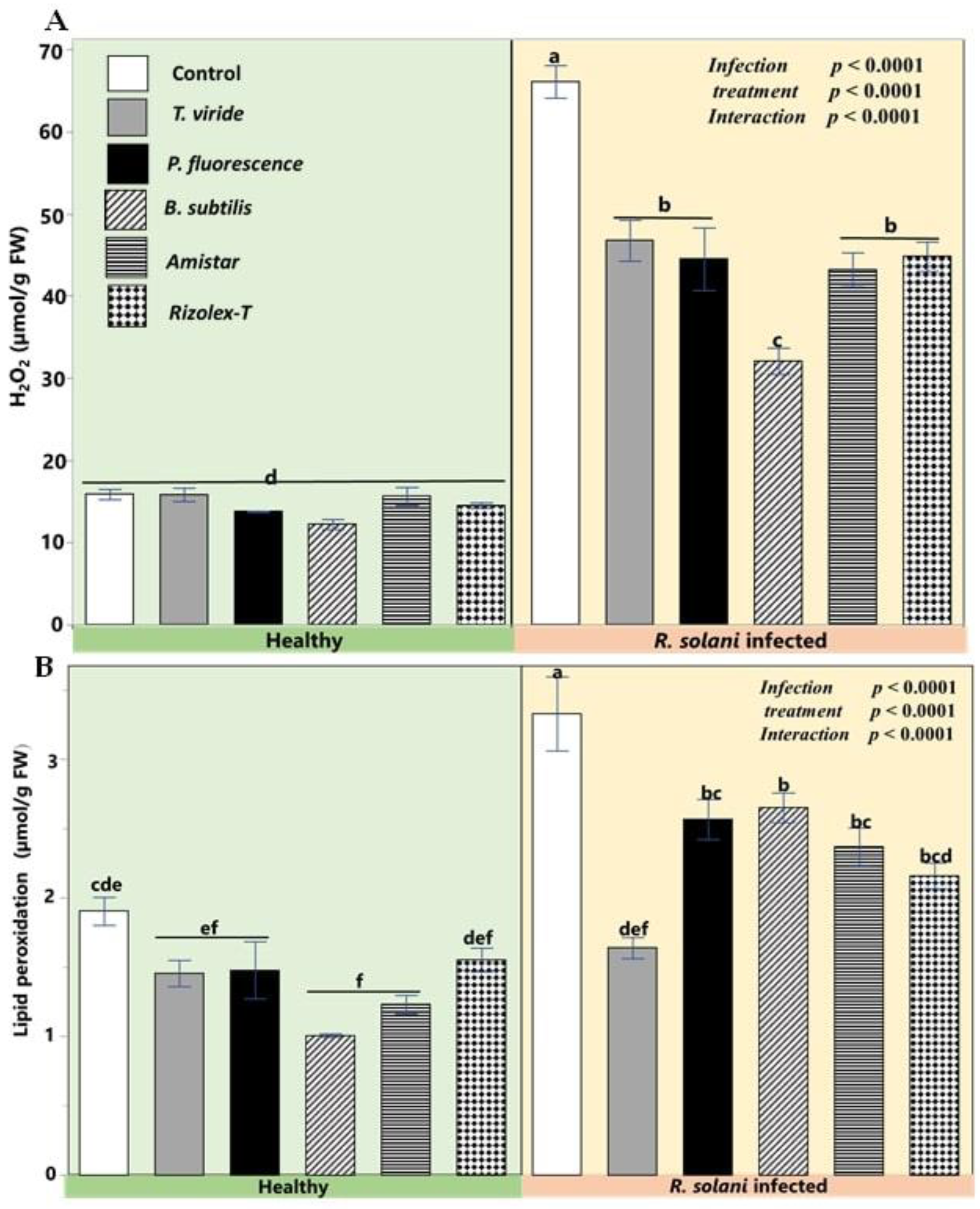 Plants 12 01694 g007 Plants 12 01694 g007